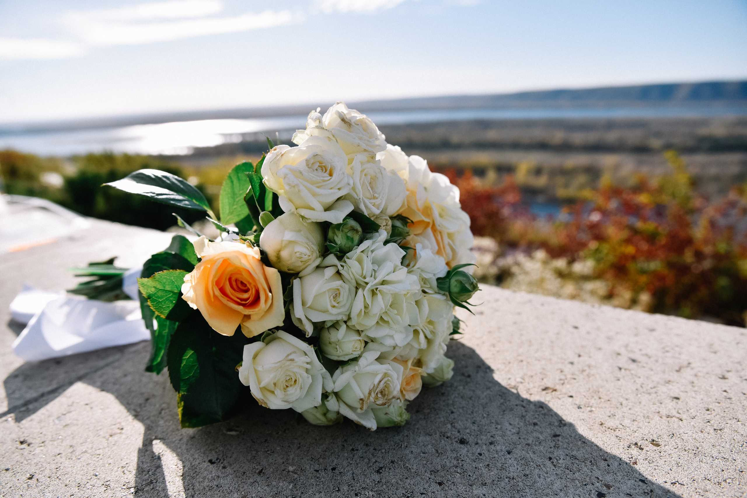 Свадьба Елена и Валентин