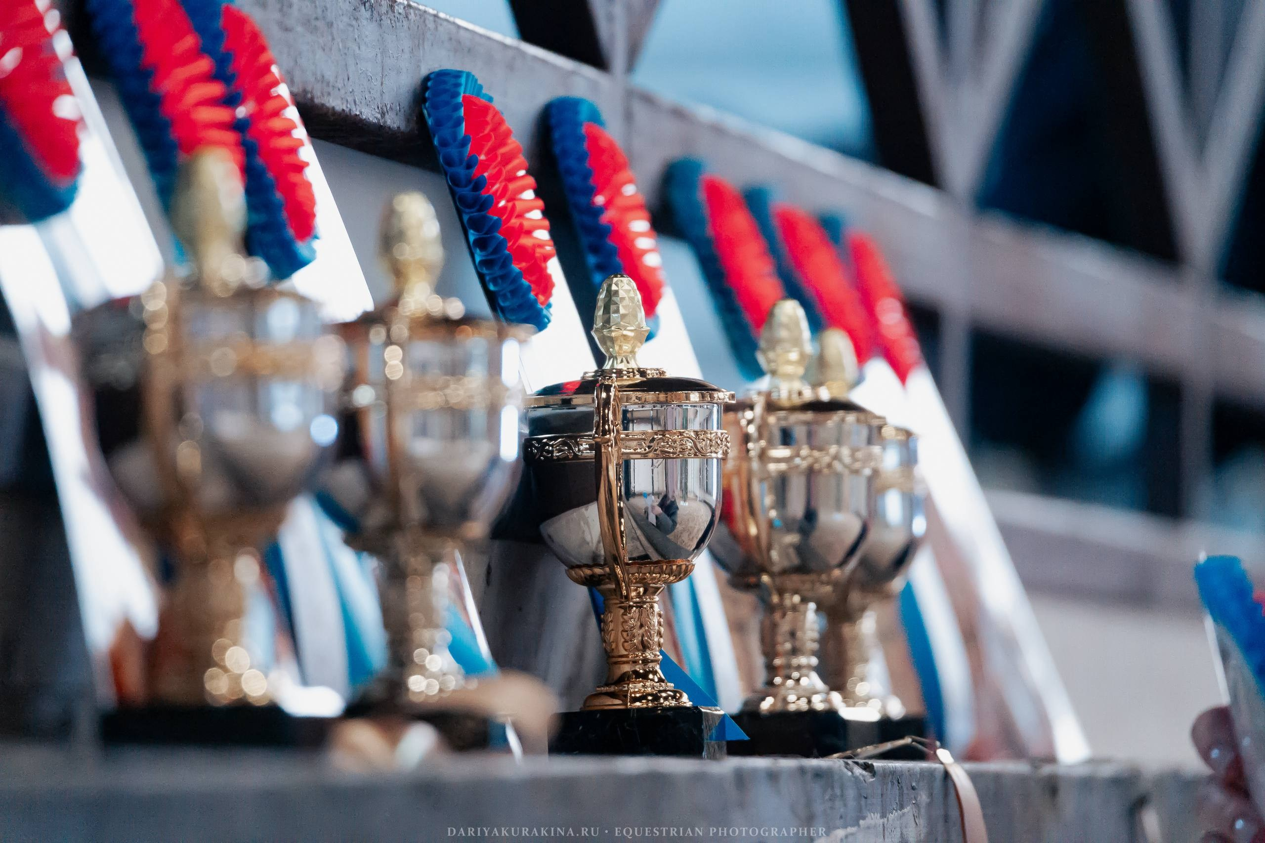 ОТКРЫТИЕ ЗИМНЕГО СЕЗОНА ПО КОНКУРУ В КСК «БЕЛАЯ ДАЧА». Куракина Дарья • Конный фотограф