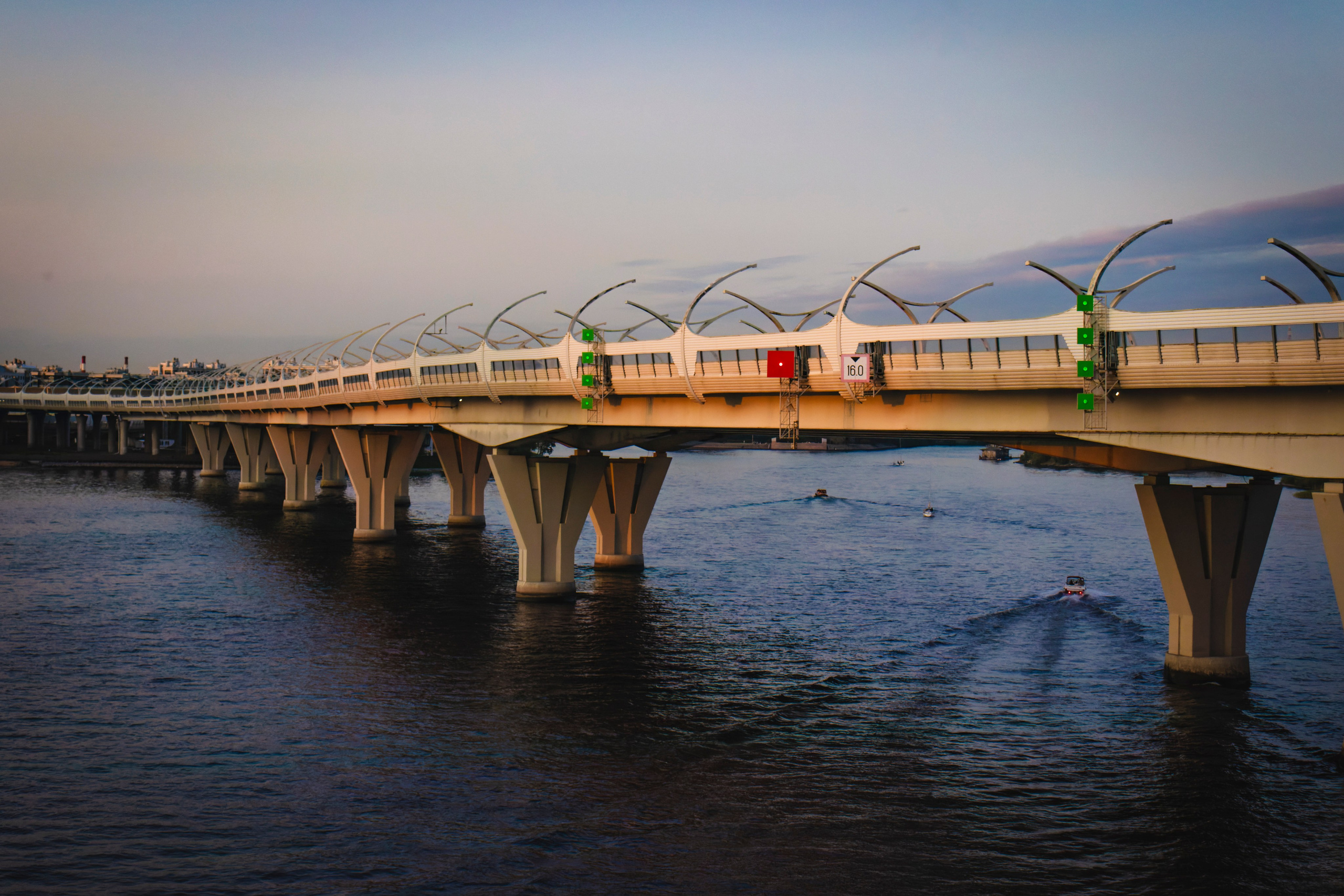 Из наблюдений. Плак или Квак