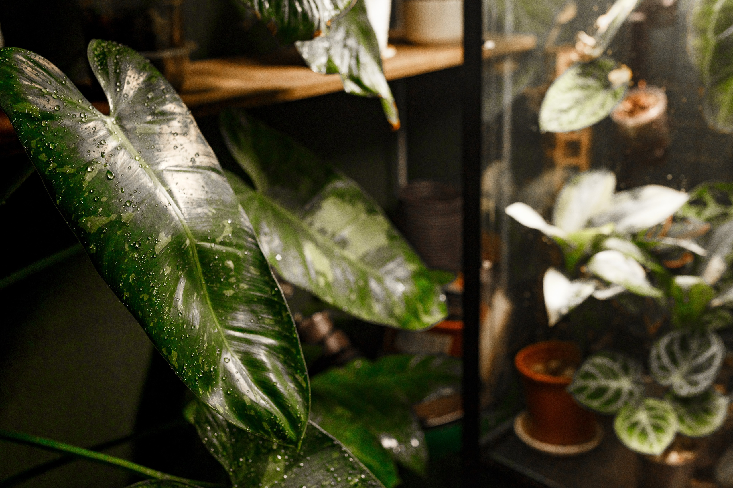 Портретная фотосессия. Семейный фотограф в Екатеринбурге