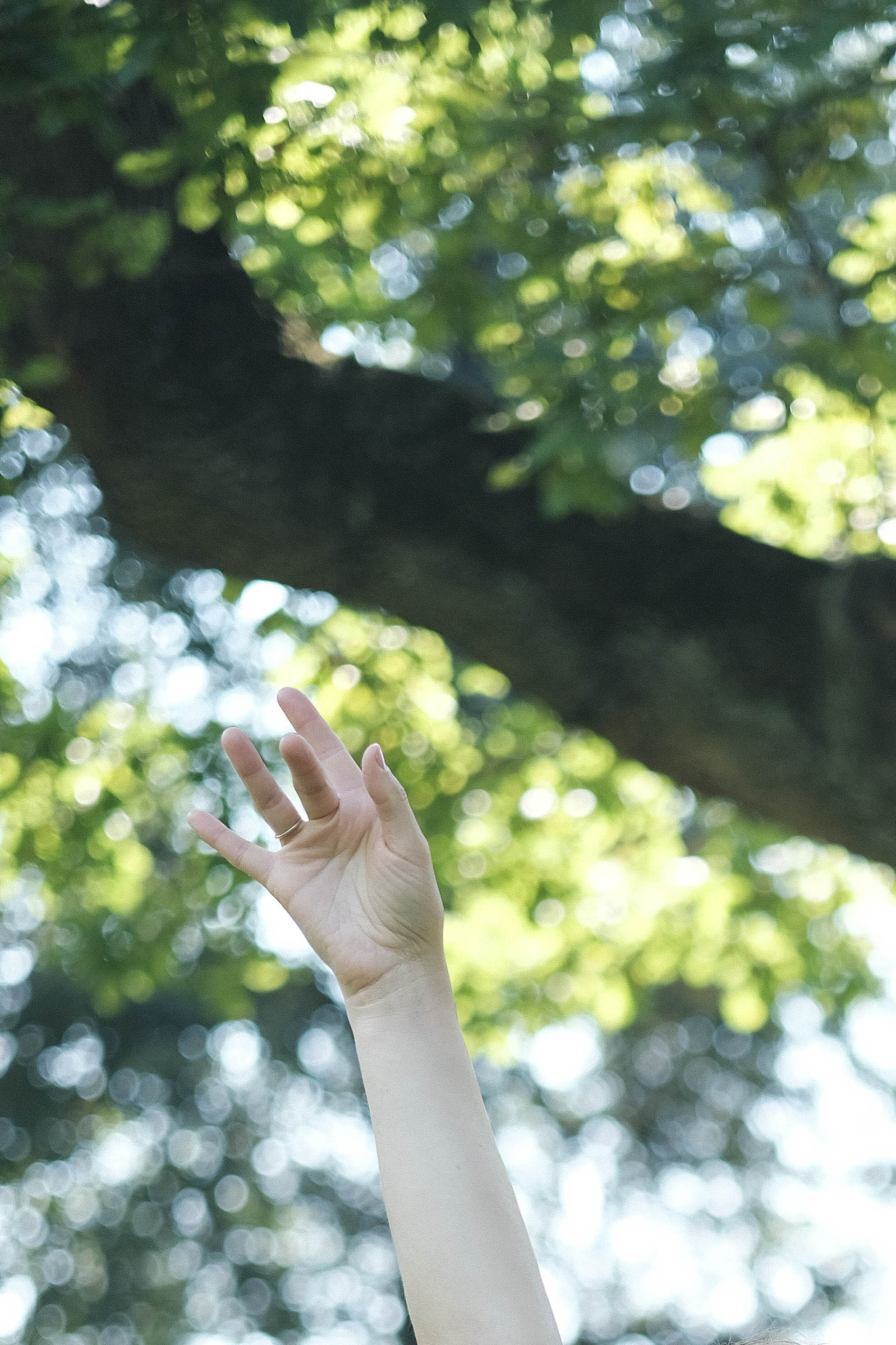 Скульптор Света Метсо. Портретный фотограф в Москве Таня Майорова