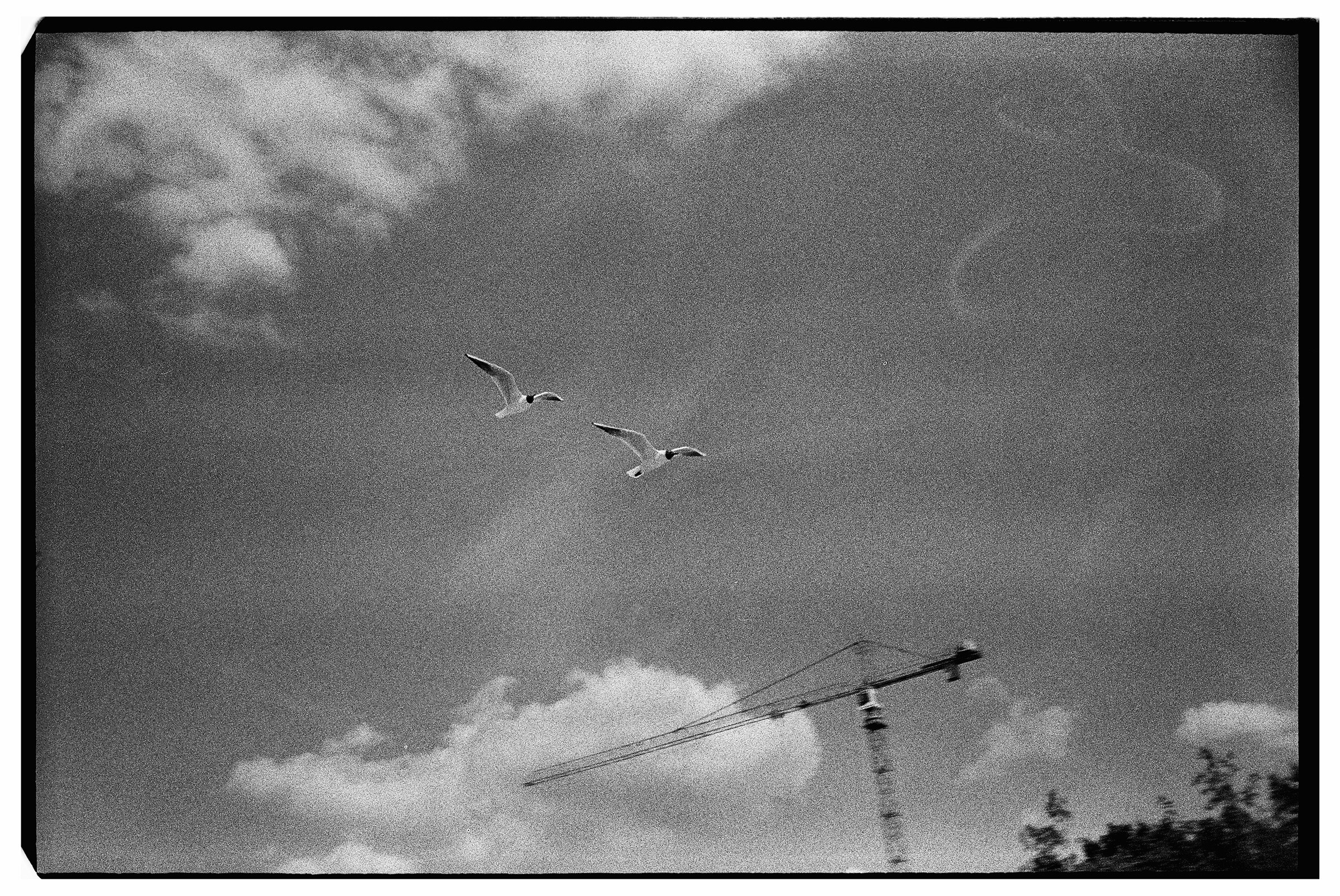 Финский залив