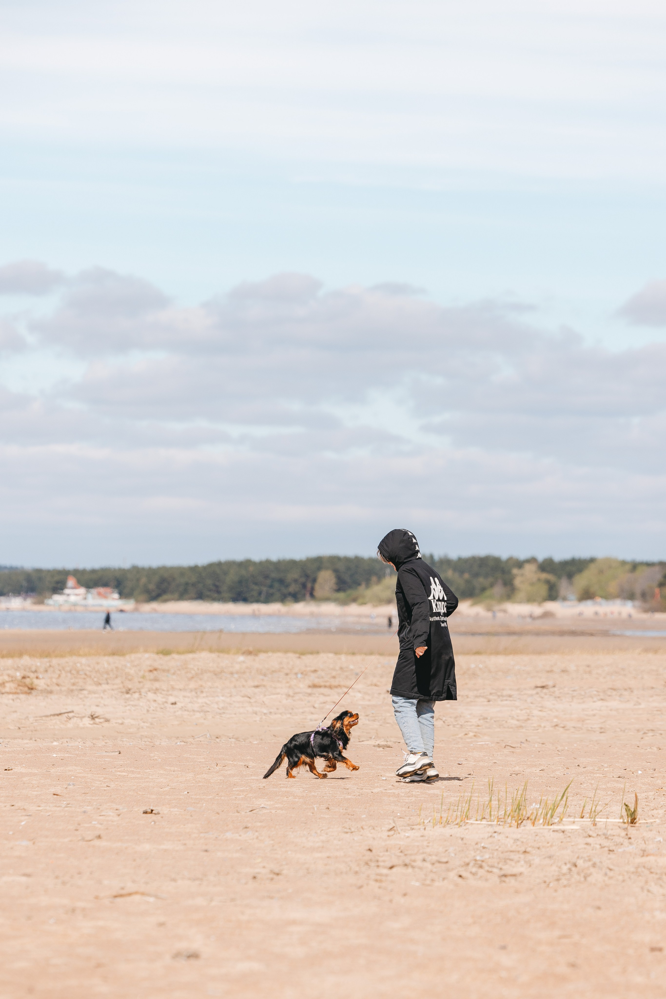 Спанимания. Фотограф анималист Осипчикова Мария