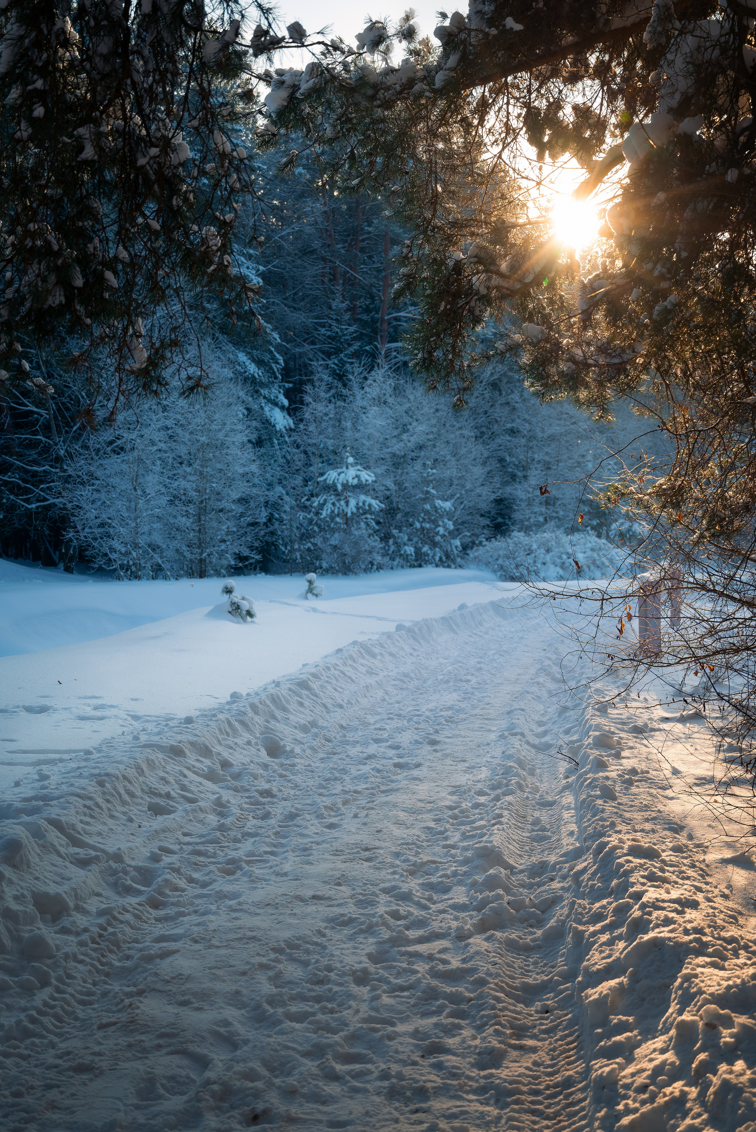 Места. Фотограф в Минске Дарья Кончакова