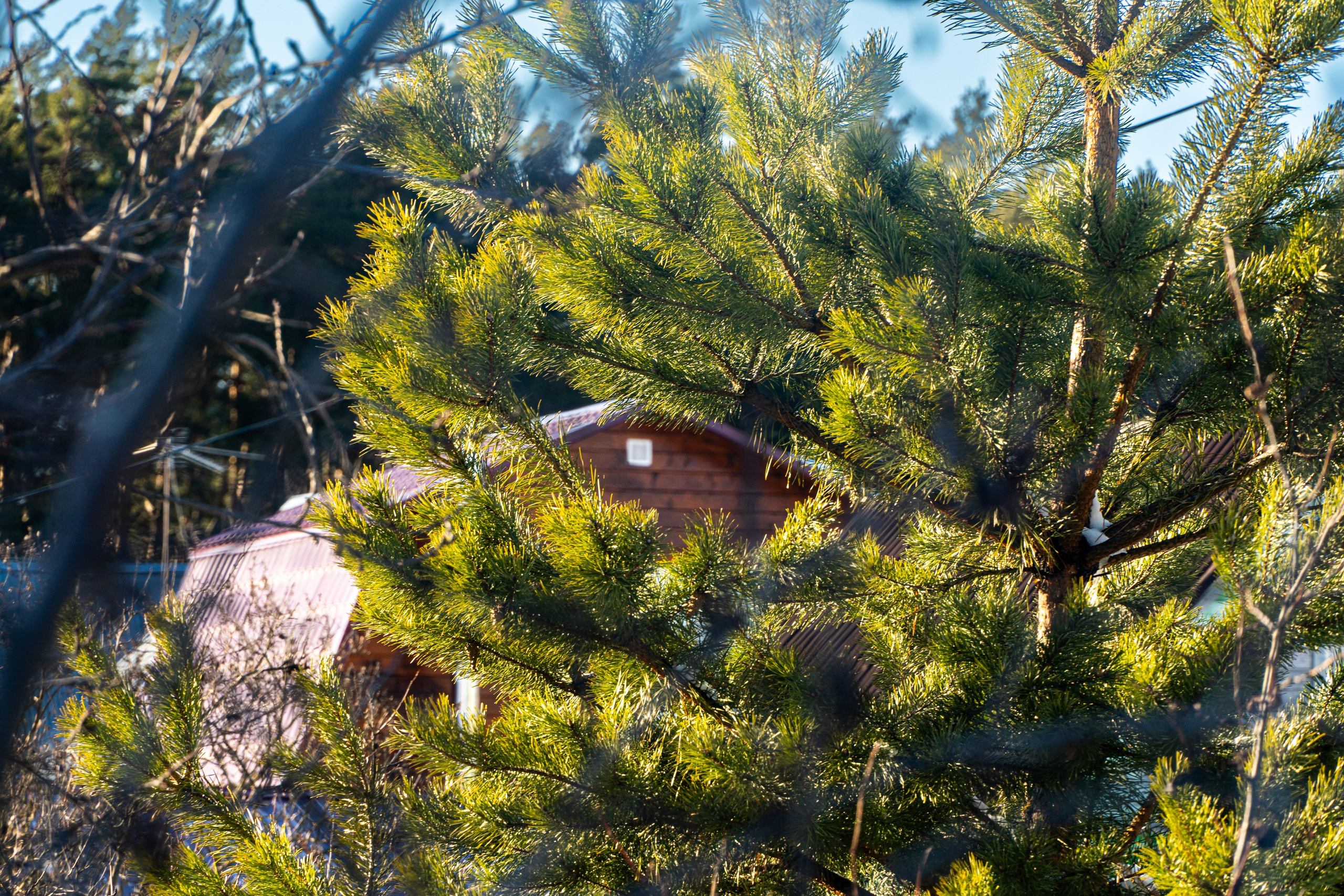 Стрит‑фото: жизнь города в кадре — реальные моменты. FM Media Сrew. Репортажные фото и видео