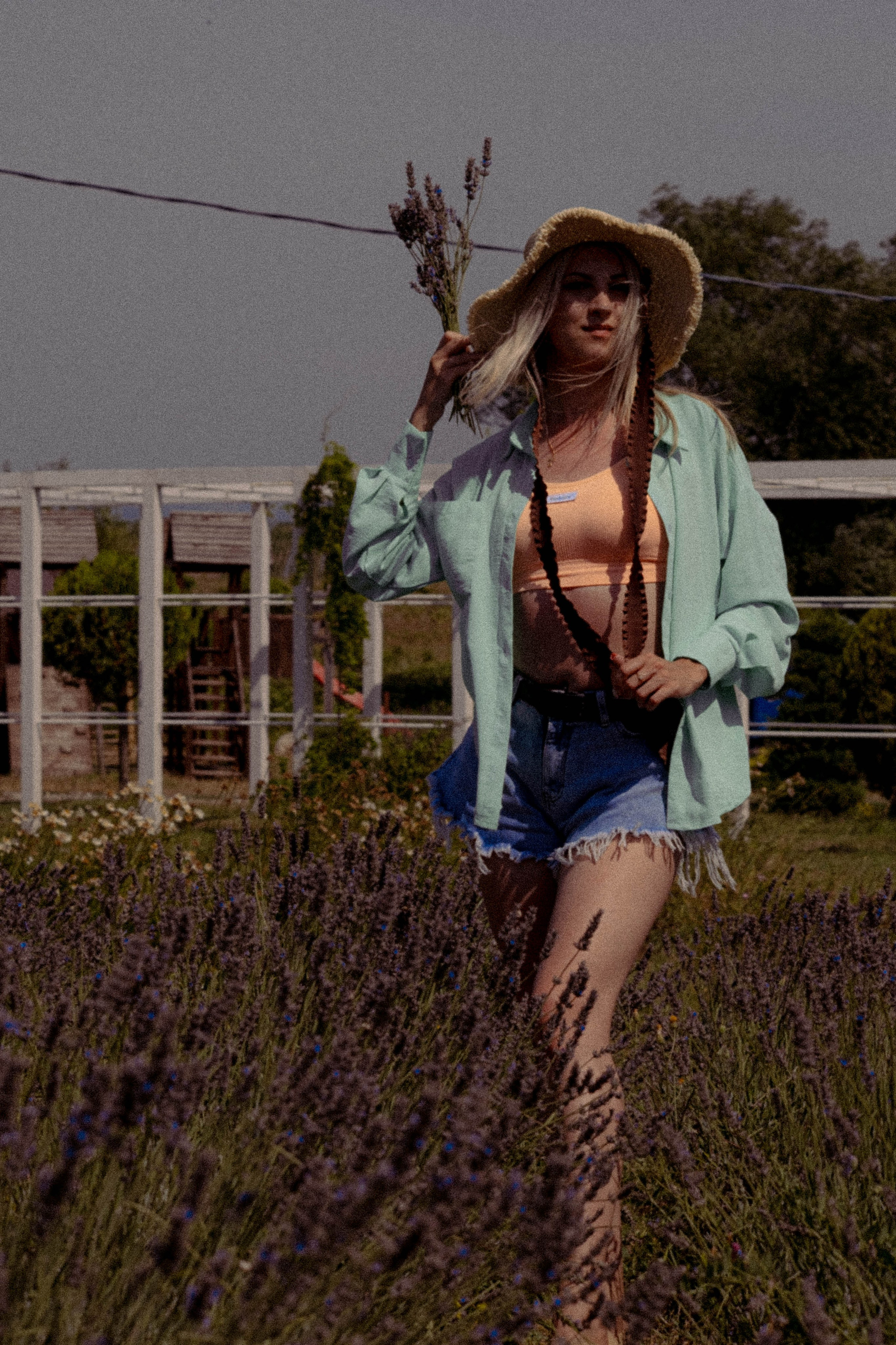 ЛАВАНВОДОВОЕ ПОЛЕ. Профессиональный фотограф, Санкт-Петербург — Виктория Богомолова