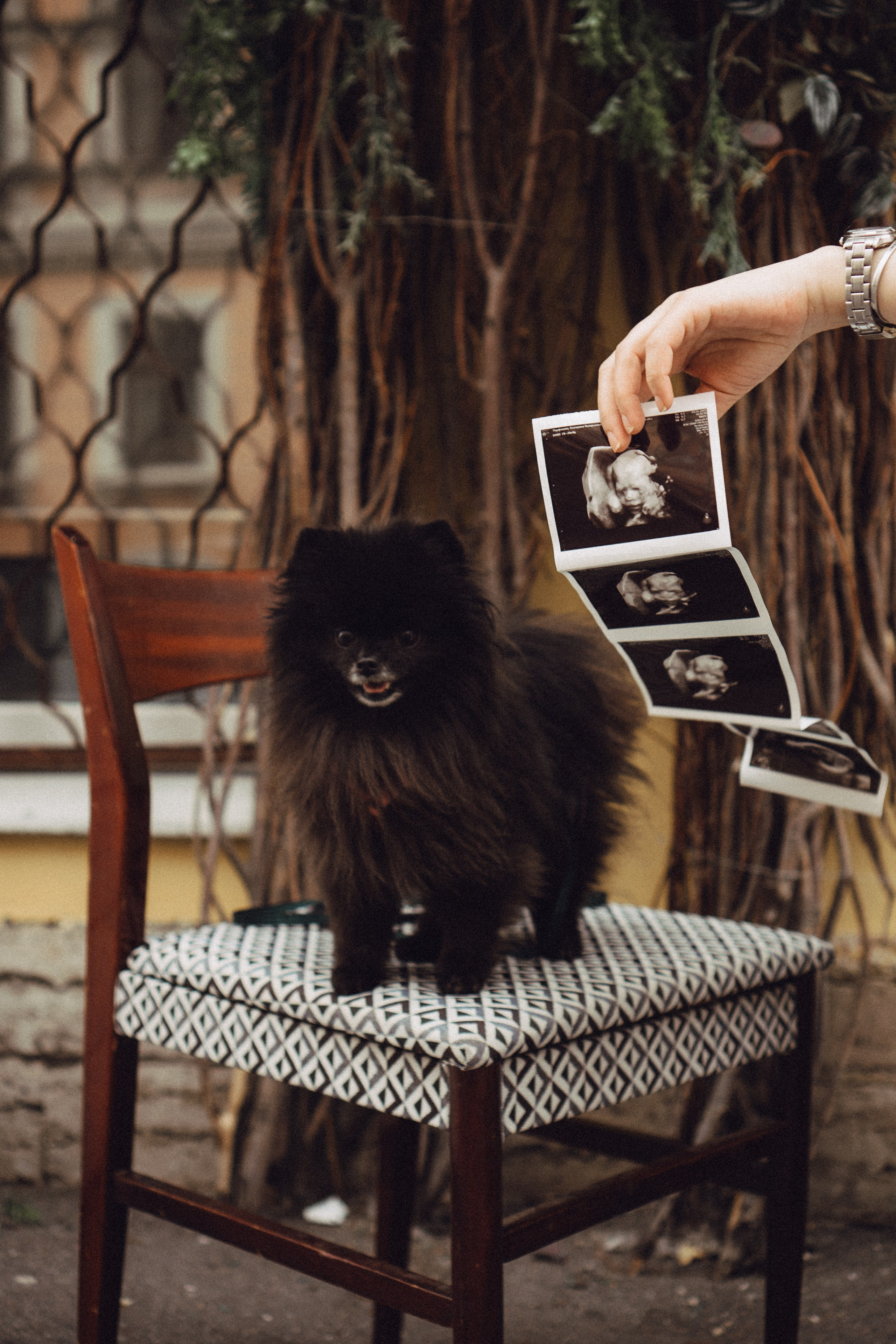 Беременность (только часть фото по желанию клиентов могу показать)). Профессиональный фотограф, Санкт-Петербург — Виктория Богомолова