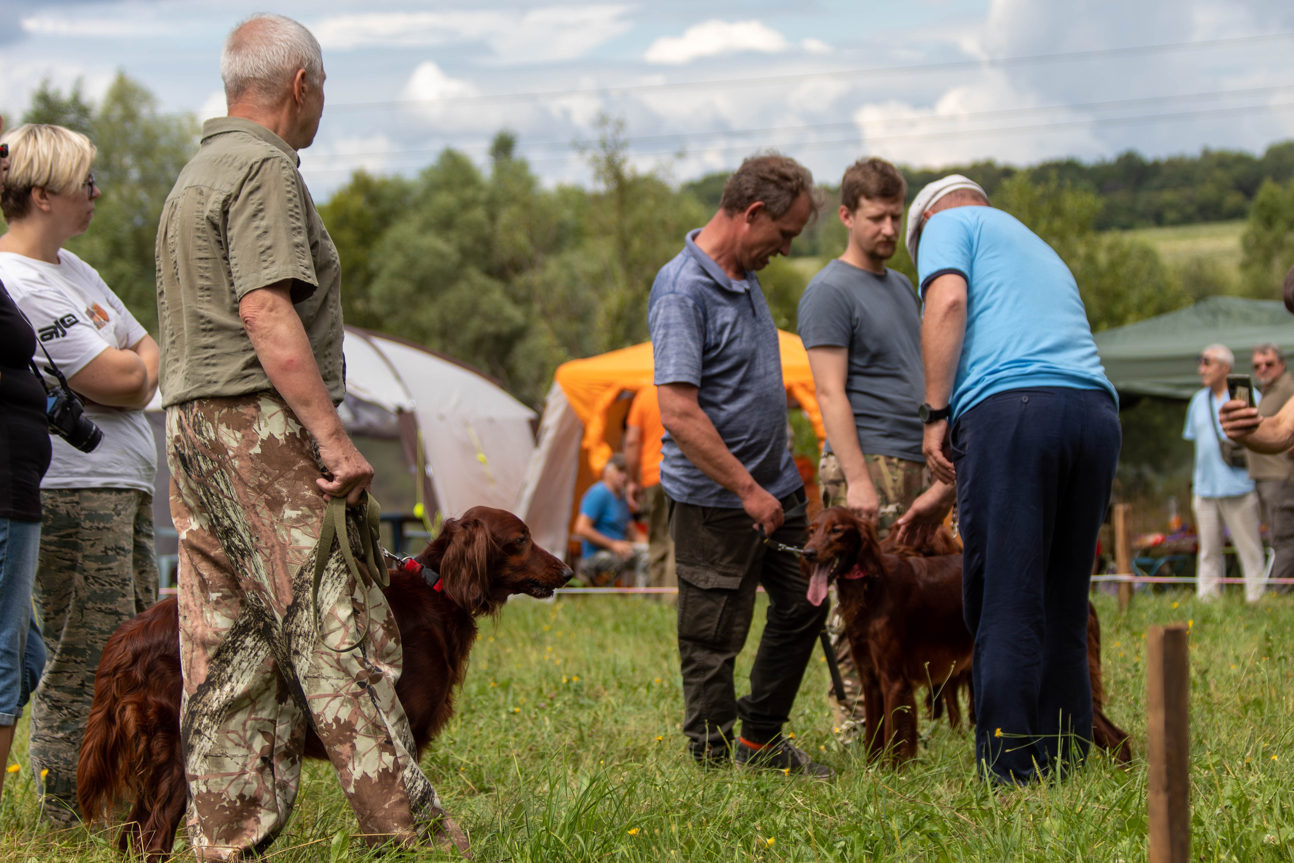 Репортажная съемка в Туле. Фотограф анималист — Тула, Москва