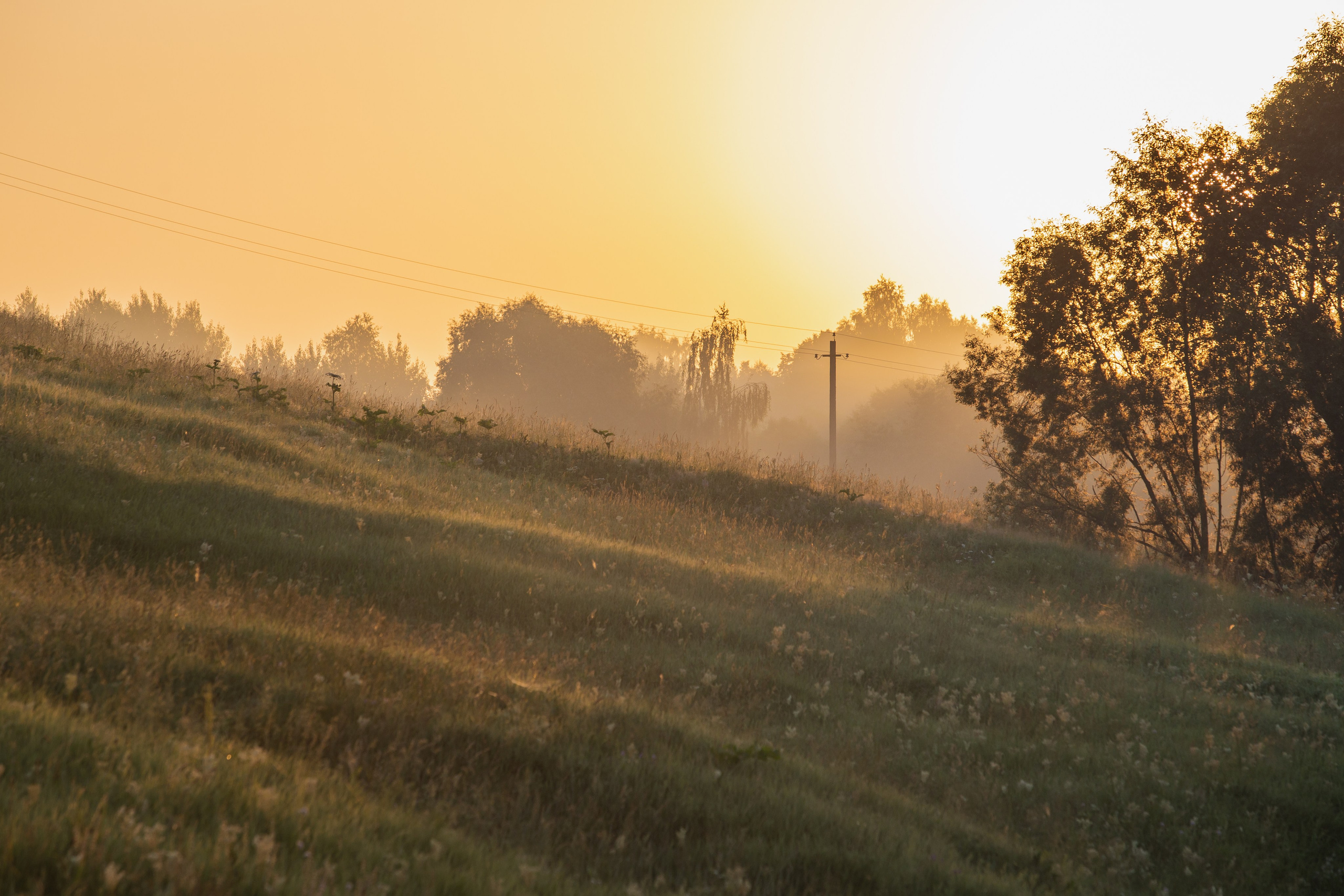 Кондуки и Мельница (18+). Фотограф в Москве Лера Юдина