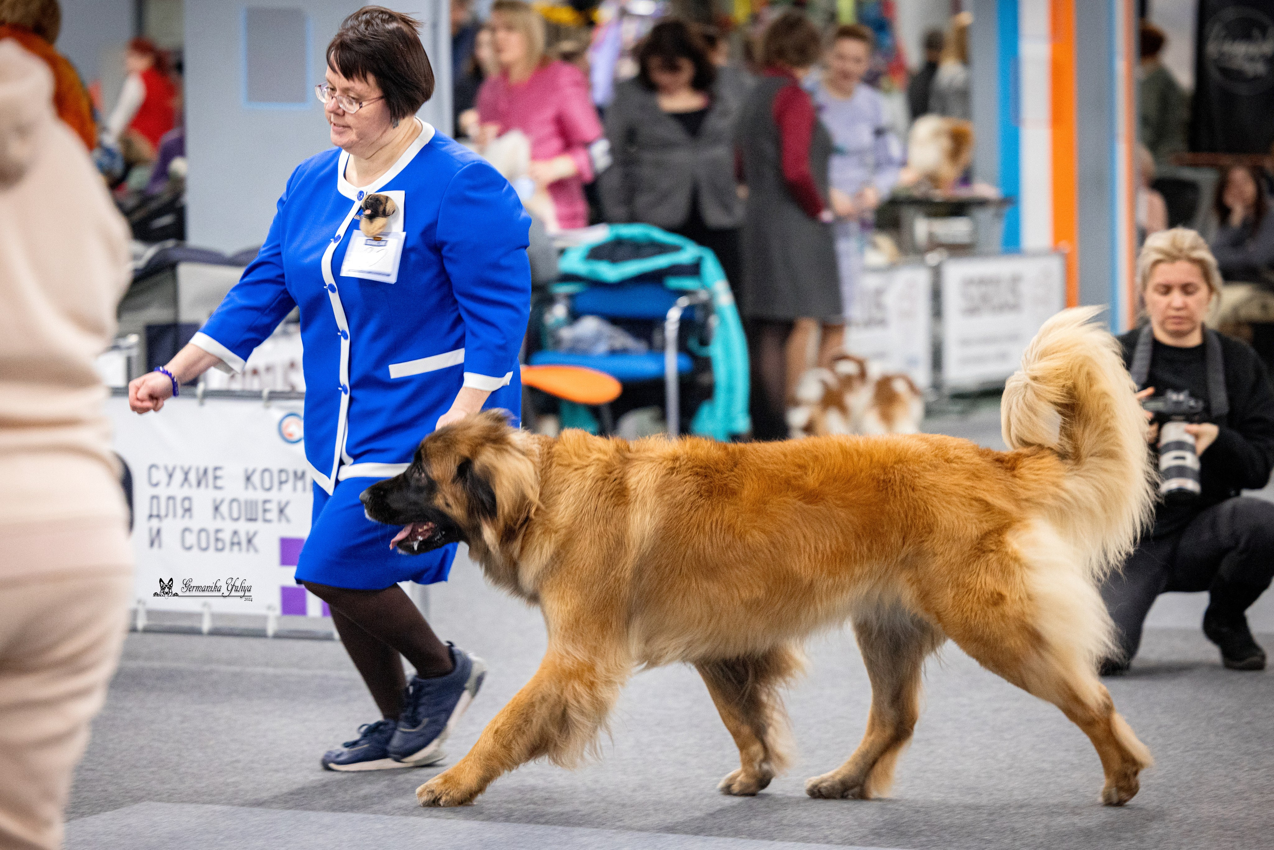 Сфера 28.01. и 4.02.2024. Фотограф-анималист Юлия Германика