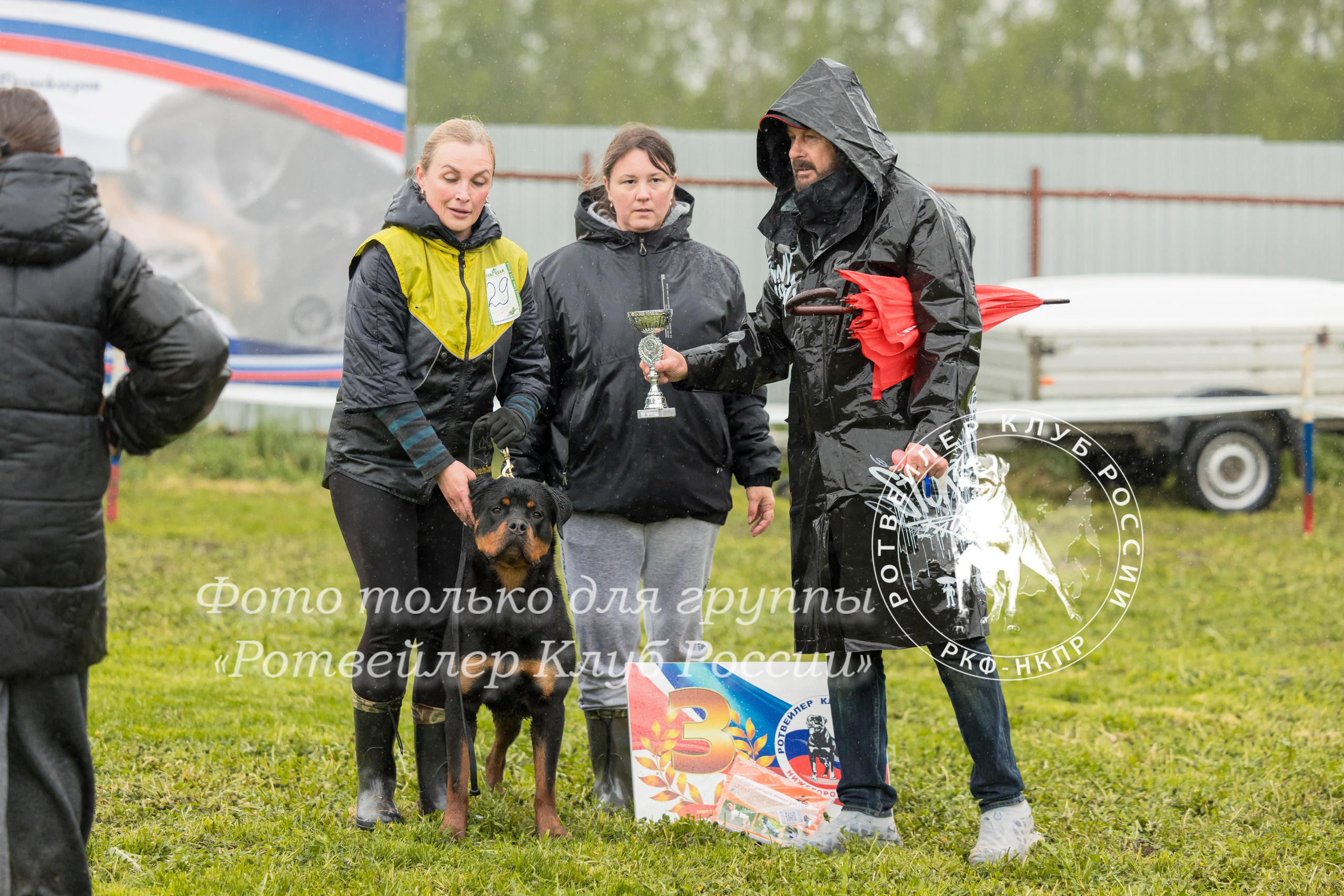 Нижний Новгород 2хмоно ротвейлеров 10-11.05.2025. Фотограф-анималист Юлия Германика