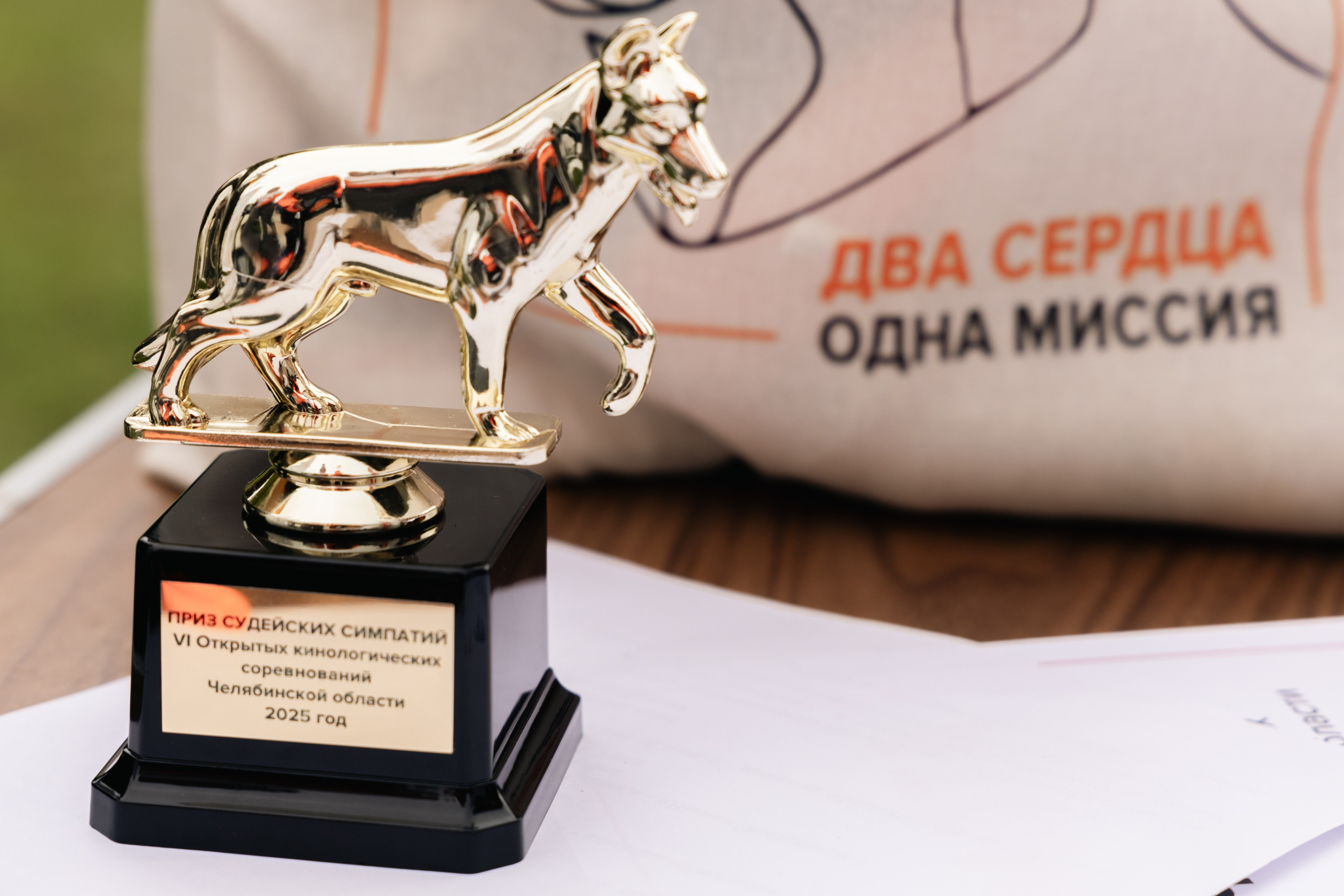 VI ОТКРЫТЫЕ КИНОЛОГИЧЕСКИЕ СОРЕВНОВАНИЯ. ЧЕЛЯБИНСКАЯ ОБЛАСТЬ 2025. Репортажный фотограф Наталья Лапцевич