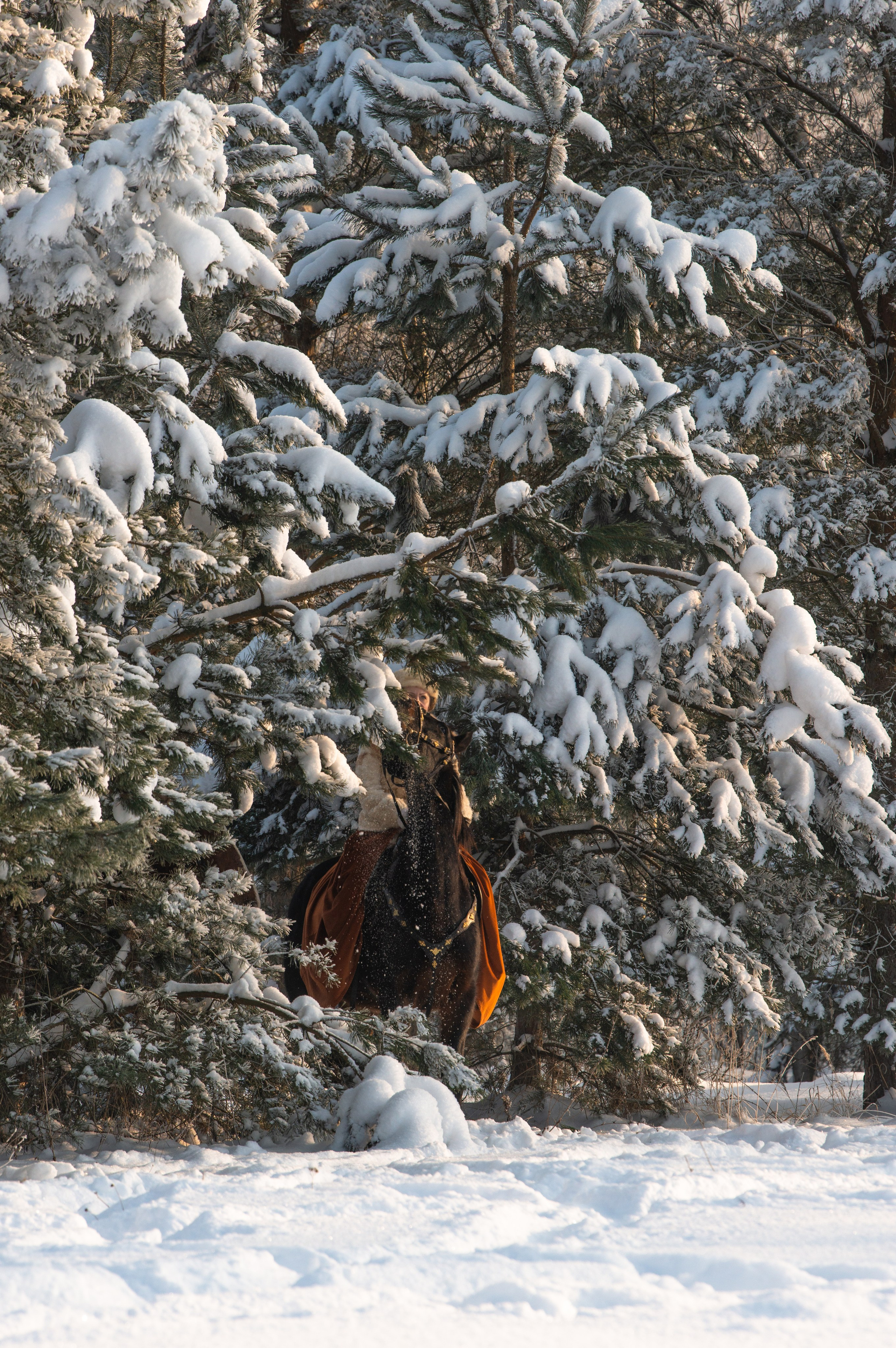 Псовая охота Аванпост. Конный фотограф в Саратове Юлия Иванова