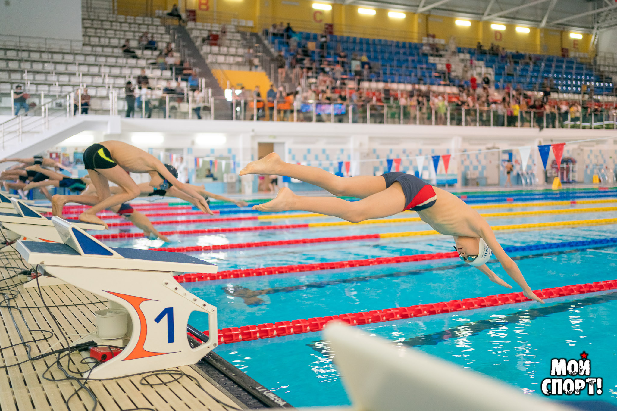 Открытый первый этап г. Якутска по плаванию «День Спринтера». Студия «Мой Спорт!» — все о спорте в Якутии
