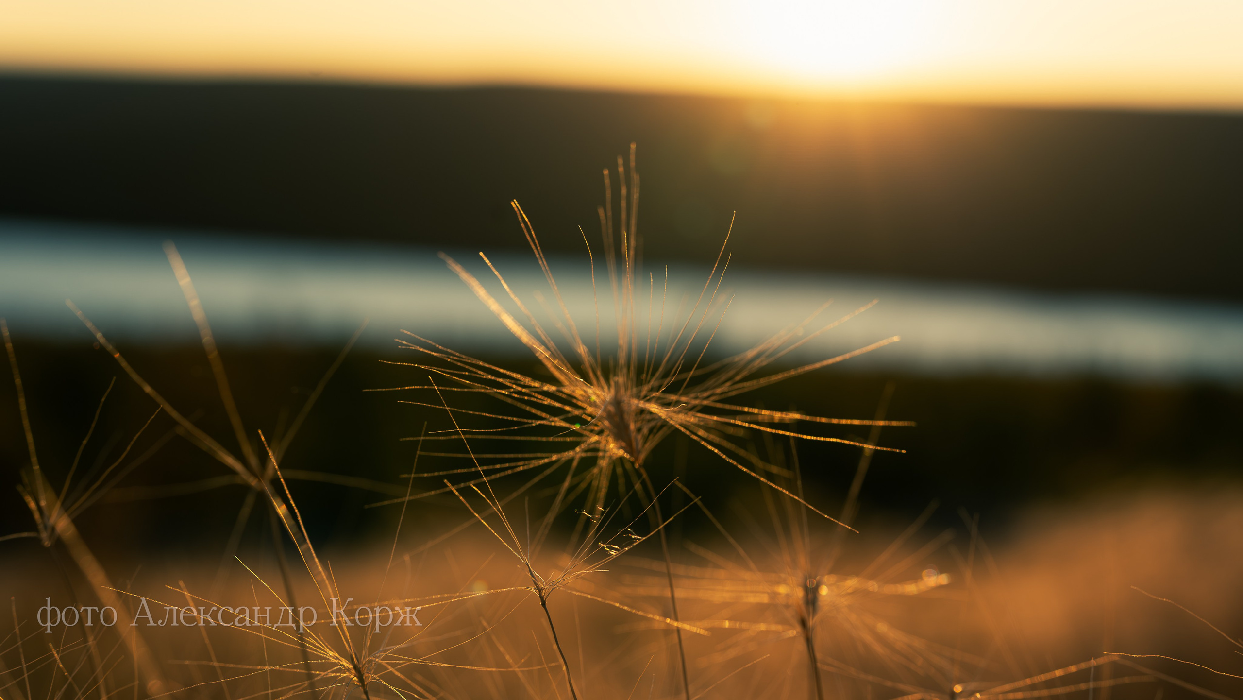 Золотая осень 2025. Айхал. Удачный. Мирный Якутия. Фотографии и видеосъемка, Айхал, Удачный, Якутия. Фотографии Айхал