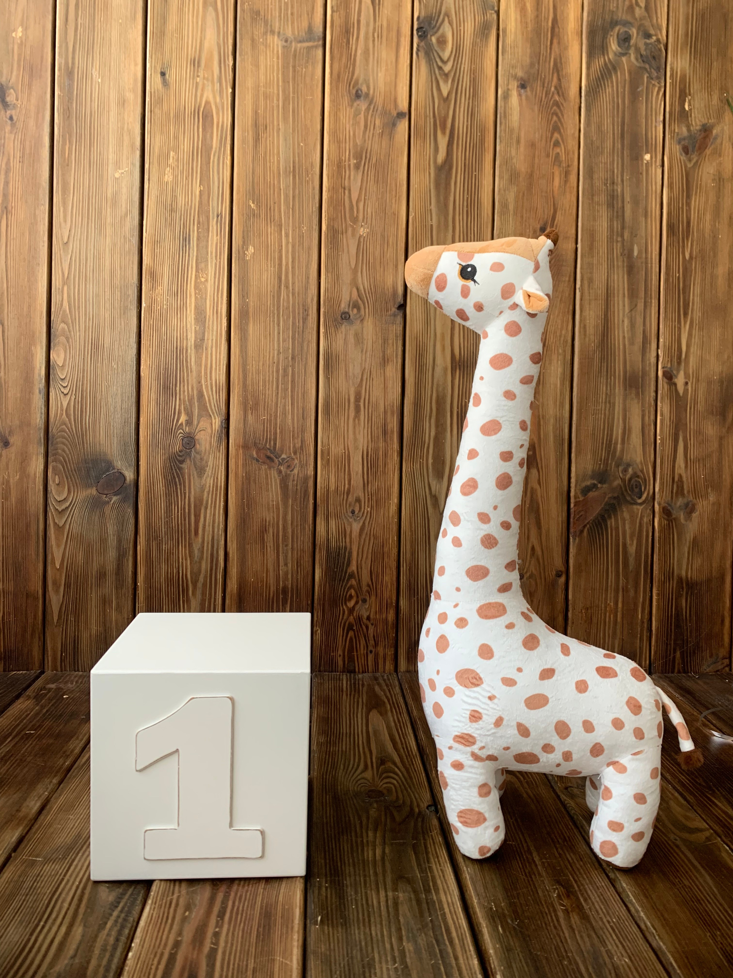 Фотостудия «Белый кролик» зал Классик. Свадебный фотограф в Ростове Александра Груздева