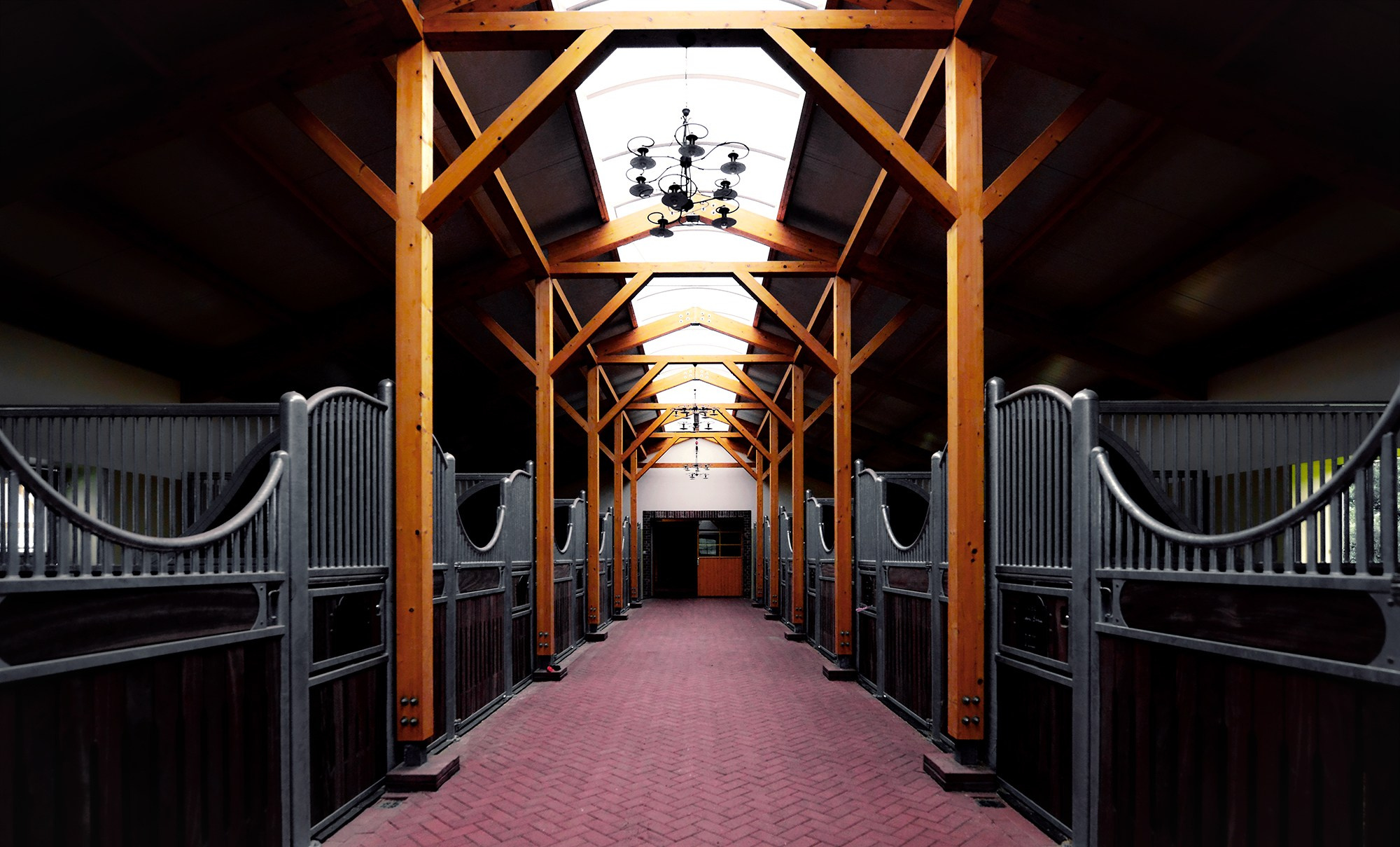 ЕС. Конный фотограф Alesya Safe