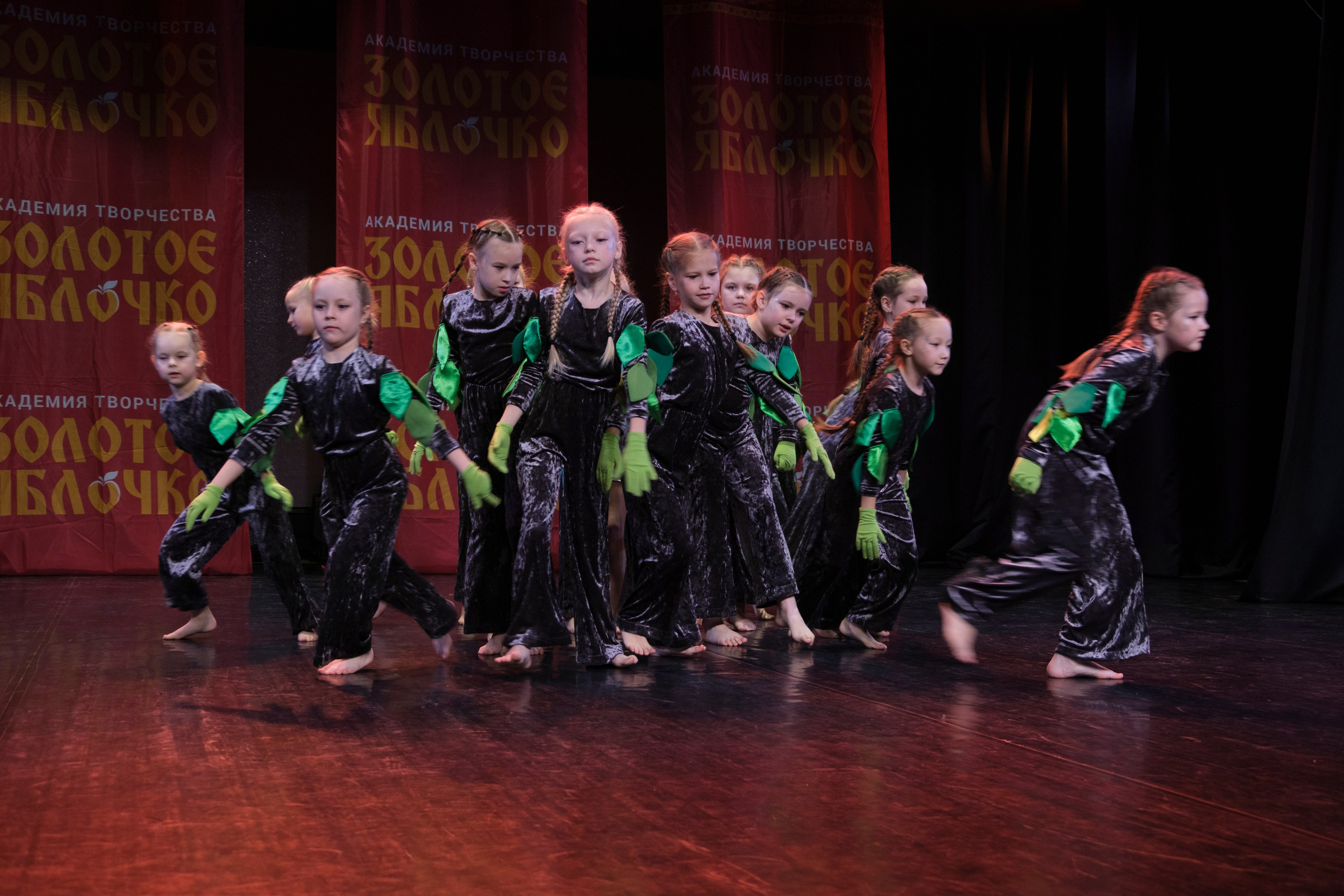 17 ноября, г. Великий Устюг. Золотое яблочко