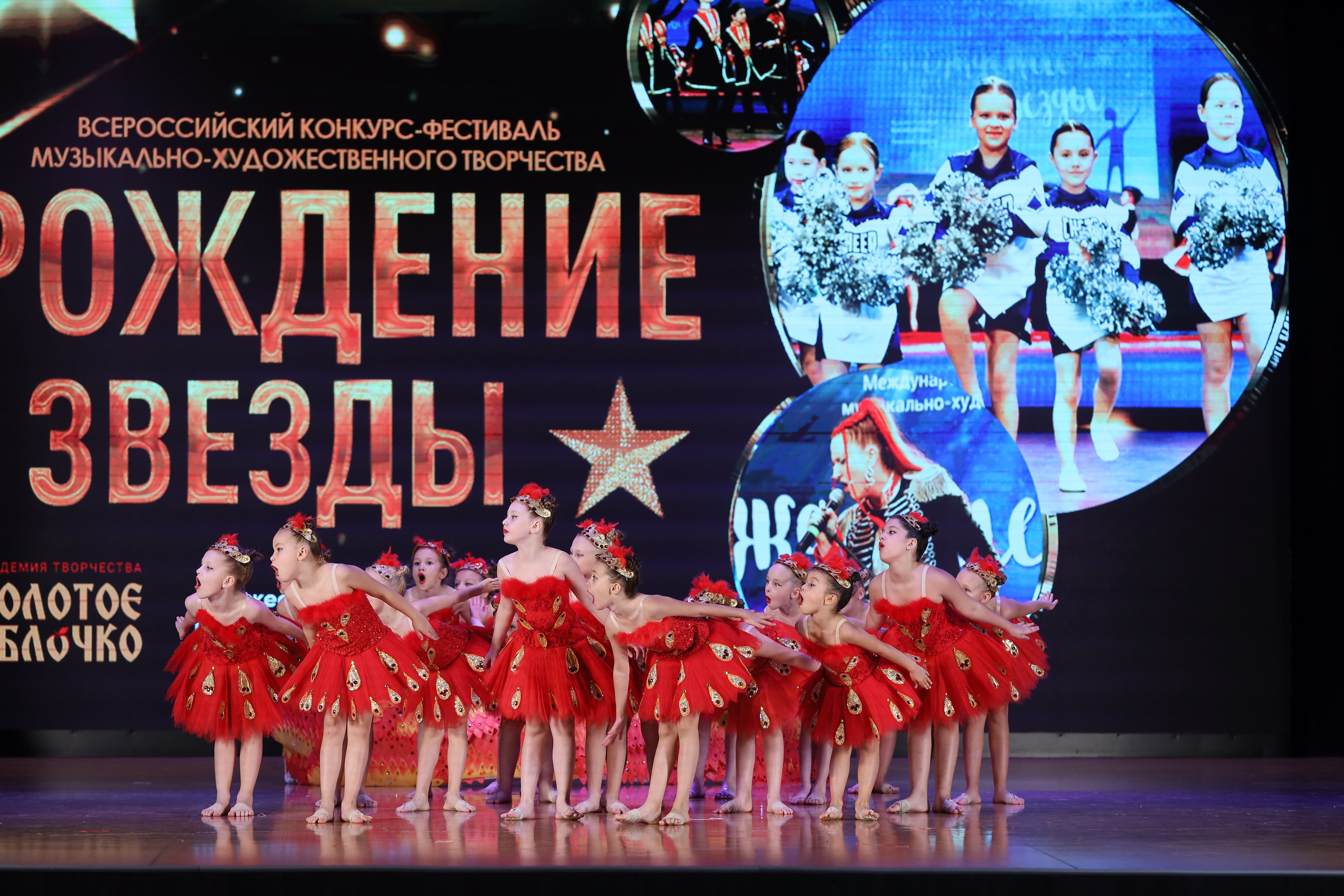 4 ноября, блок 1, видео, номера 14-29, г. Краснодар. Золотое яблочко