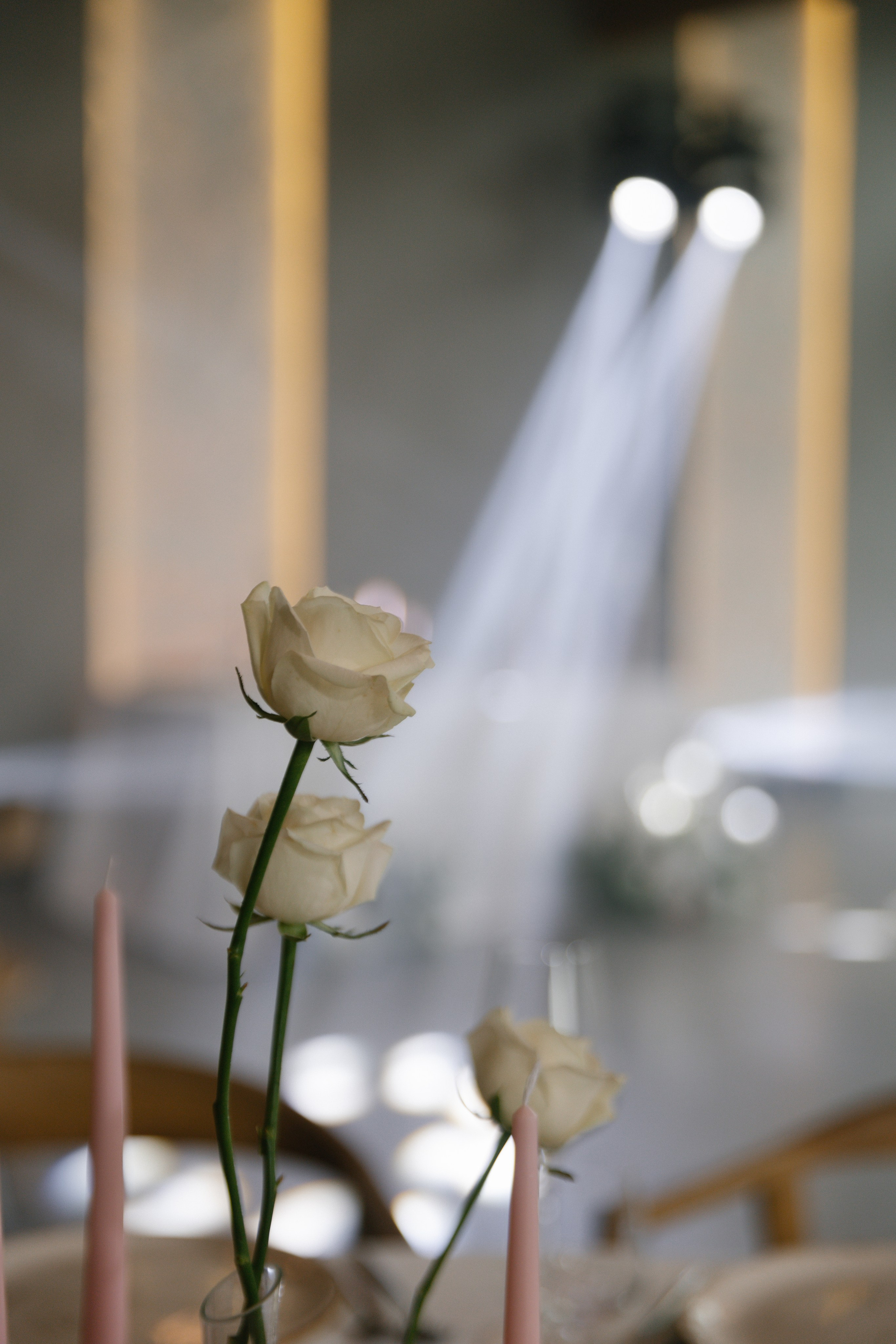 Anastasia & Alexander. Свадебный фотограф в Барнауле Юлия Гербер