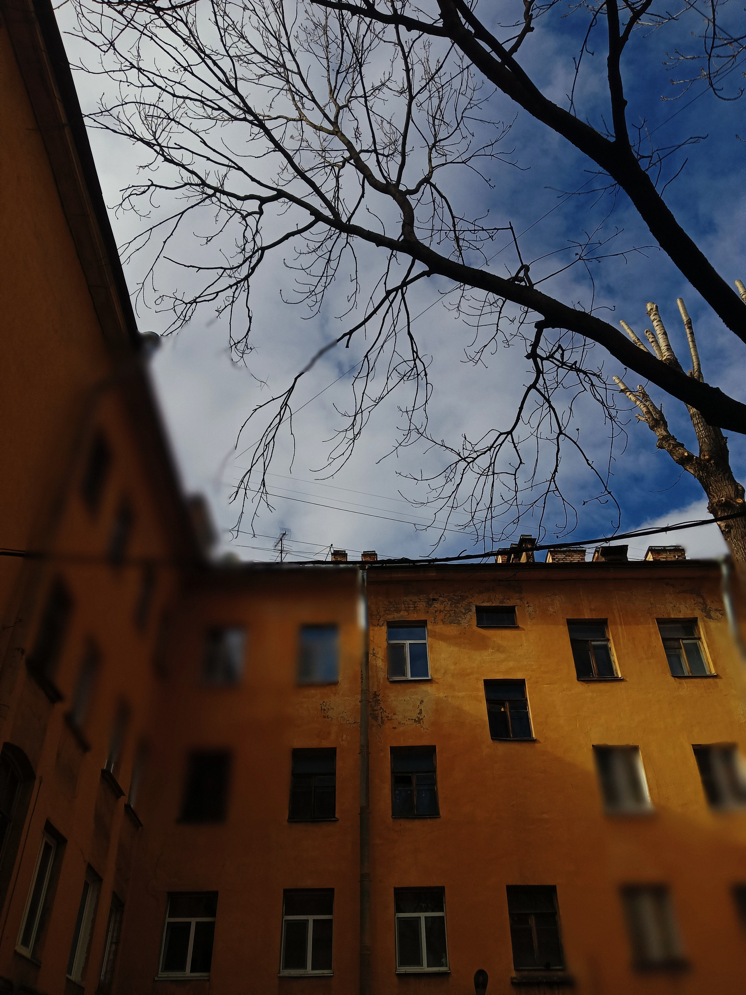 Стрит/Репортаж. May the numbers guide us