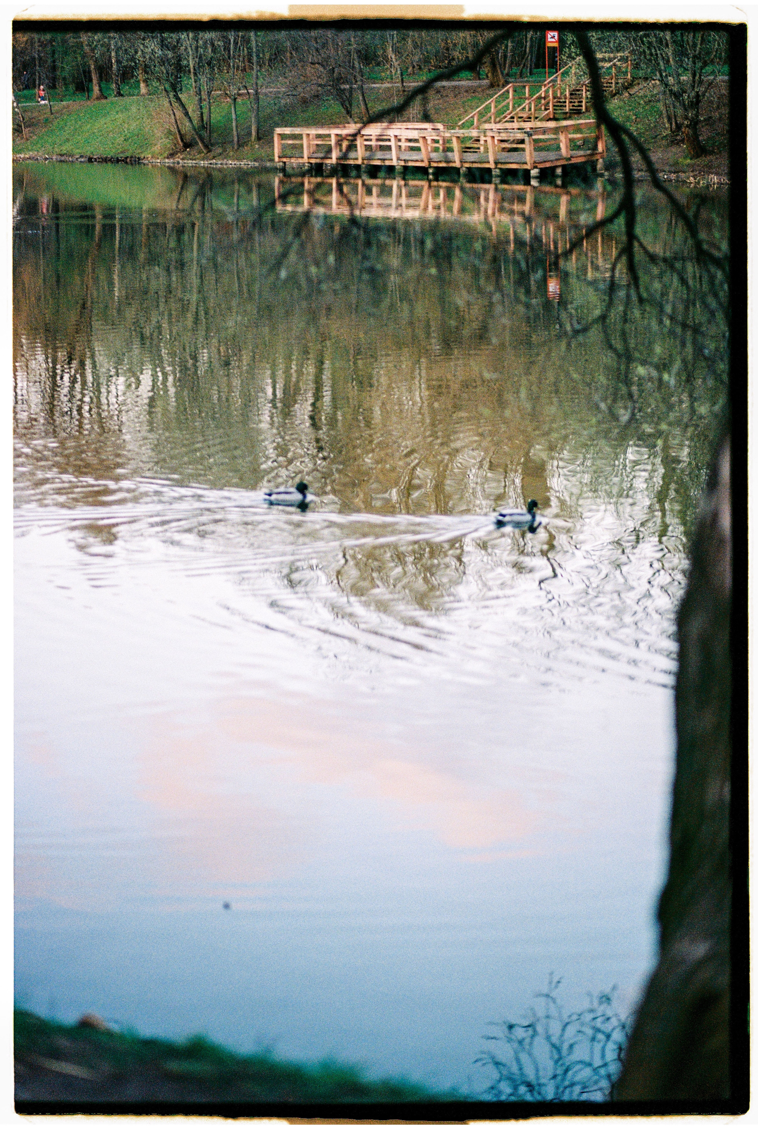 Bek & Alysa. VDNH. Никита Демидов. Nikita Demidov