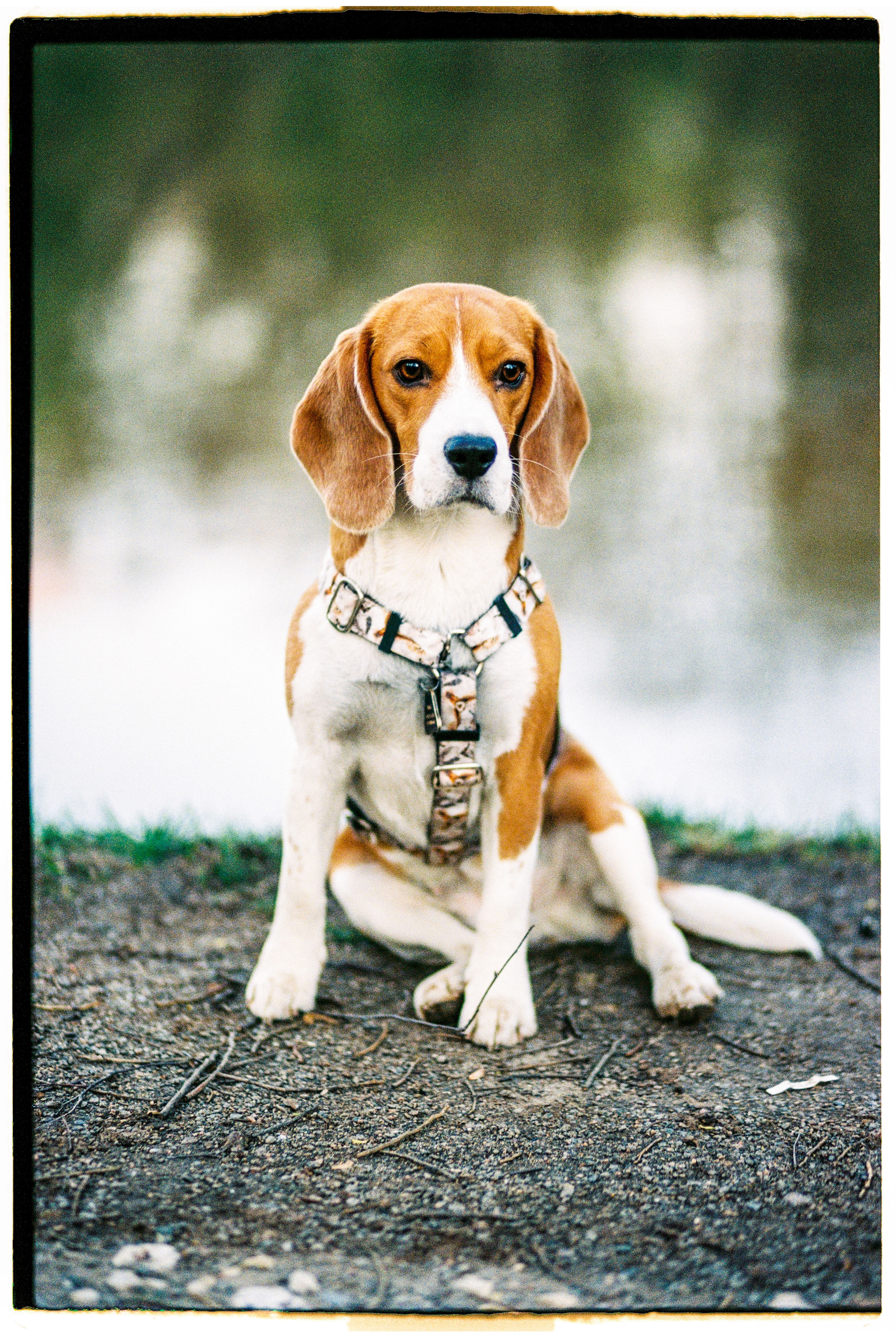 Bek & Alysa. VDNH. Никита Демидов. Nikita Demidov