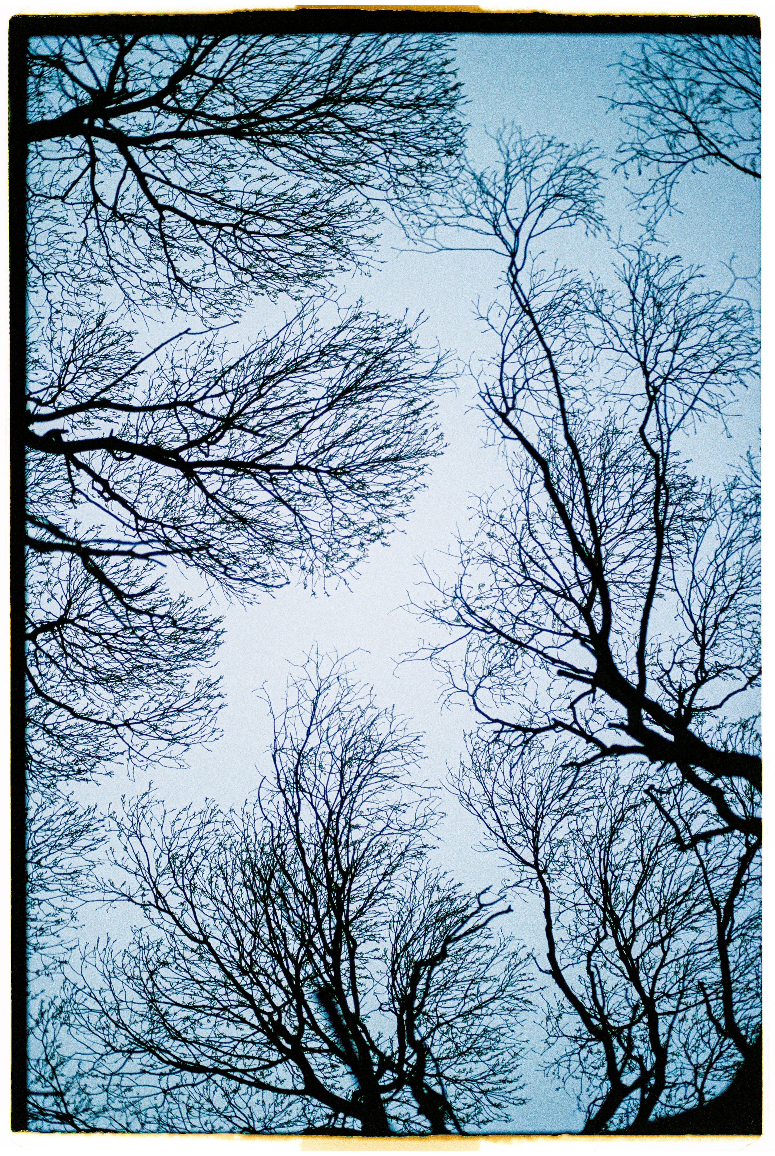 Bek & Alysa. VDNH. Никита Демидов. Nikita Demidov