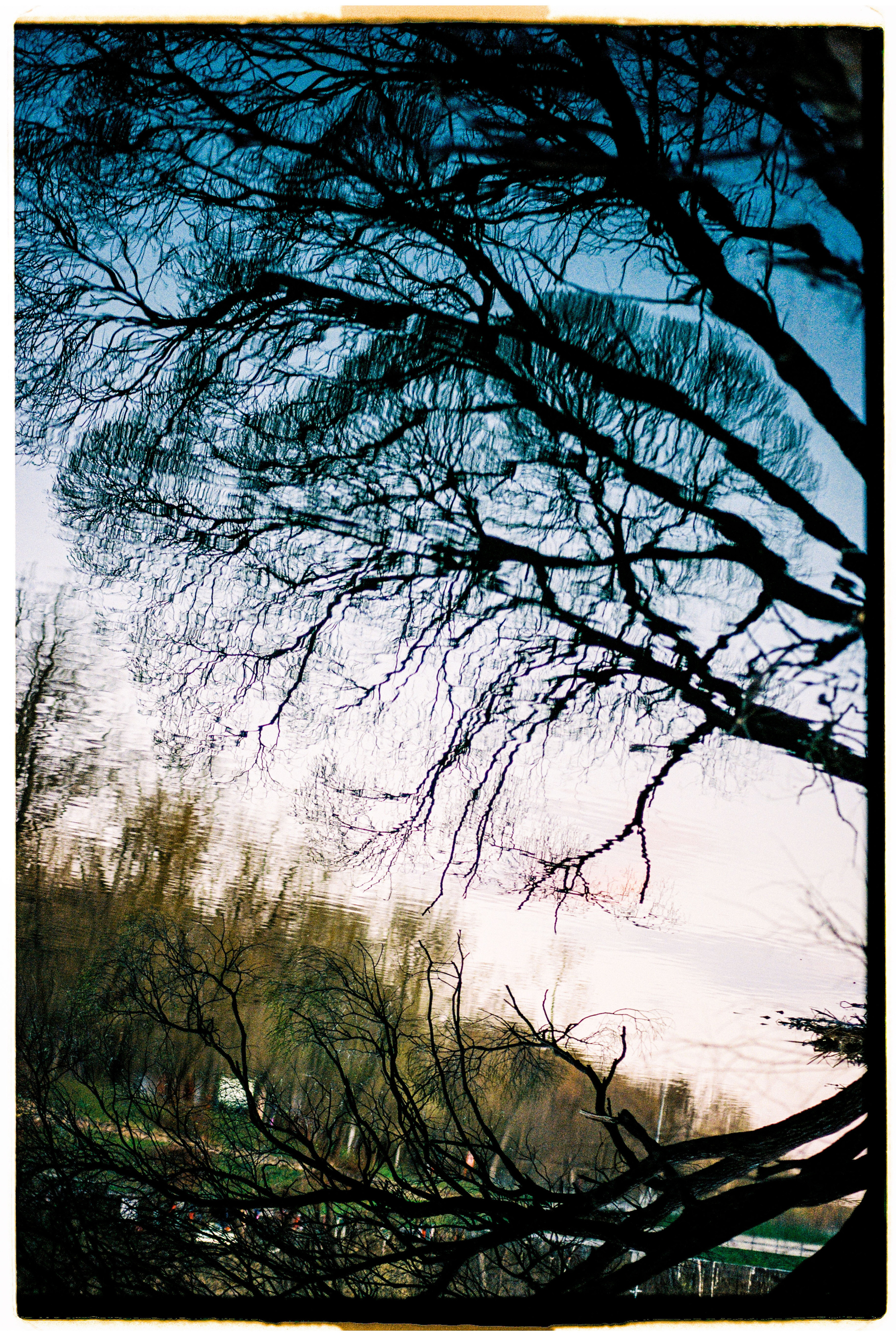 Bek & Alysa. VDNH. Никита Демидов. Nikita Demidov