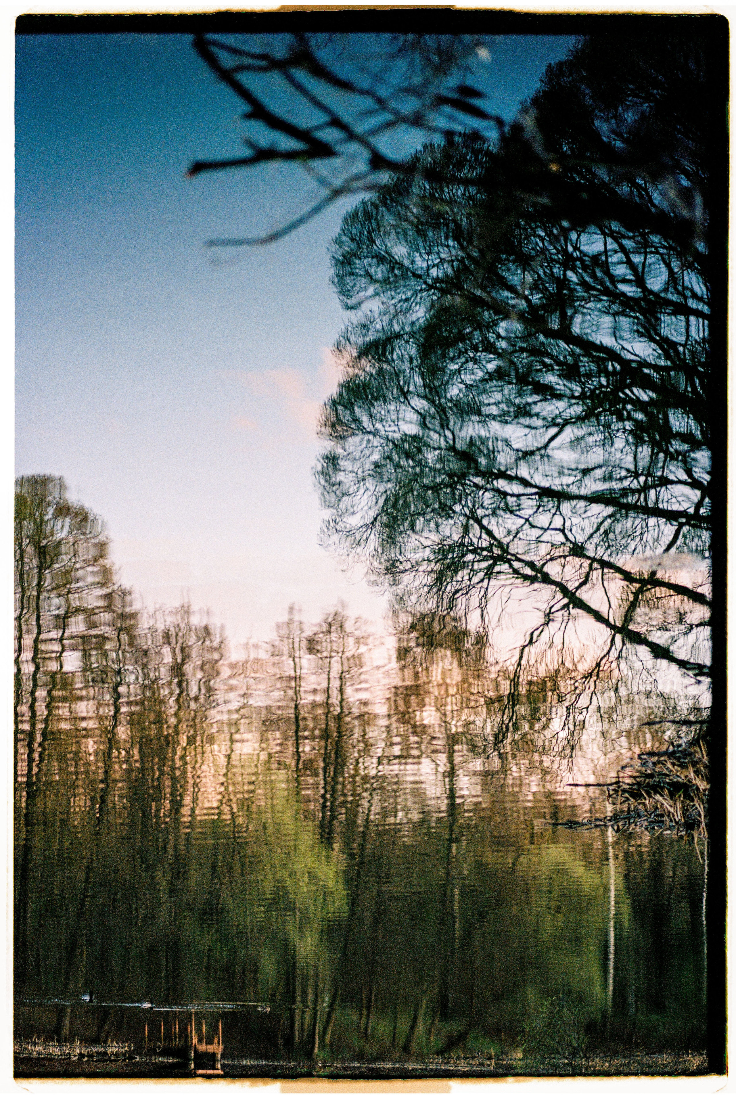 Bek & Alysa. VDNH. Никита Демидов. Nikita Demidov