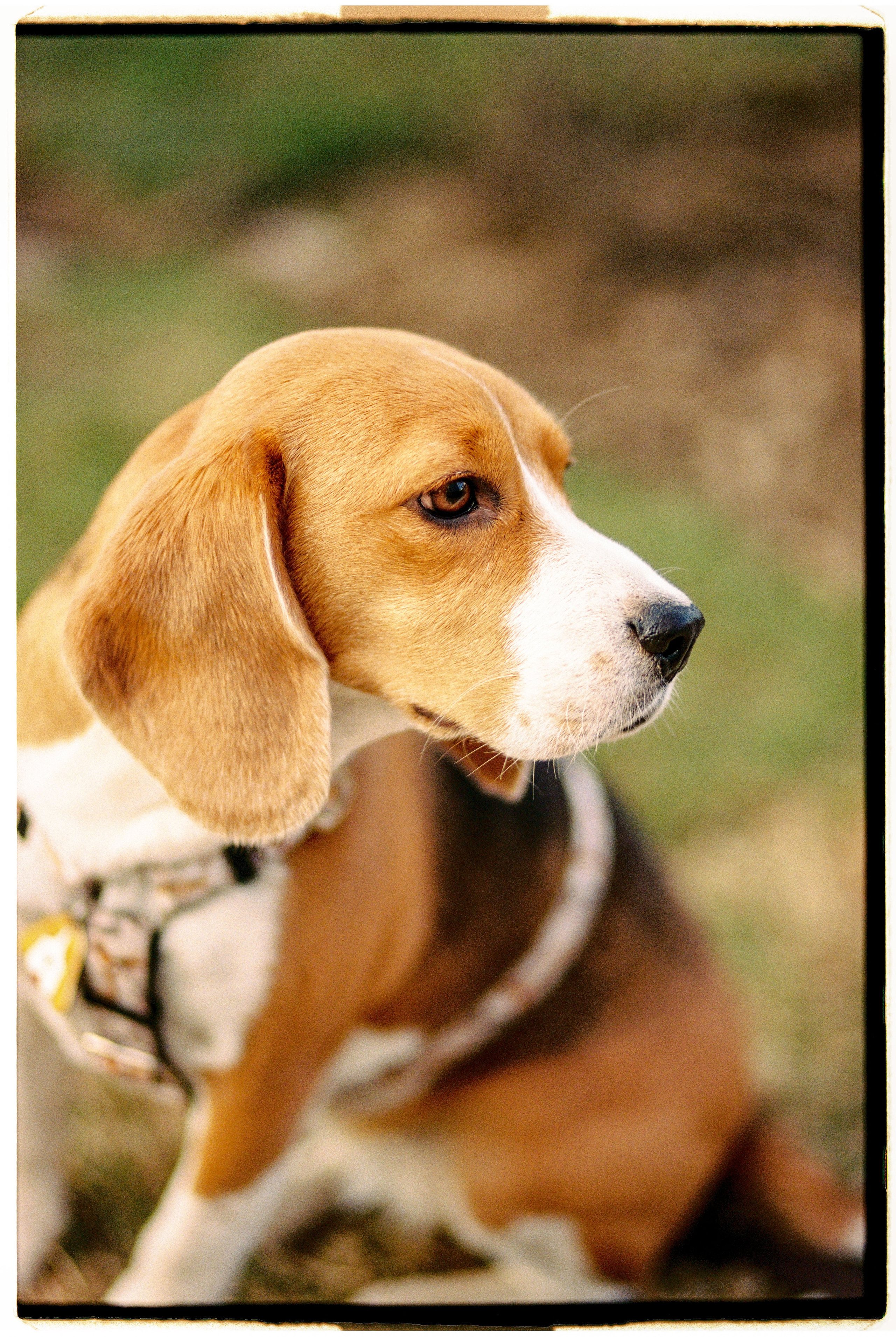 Bek & Alysa. VDNH. Никита Демидов. Nikita Demidov