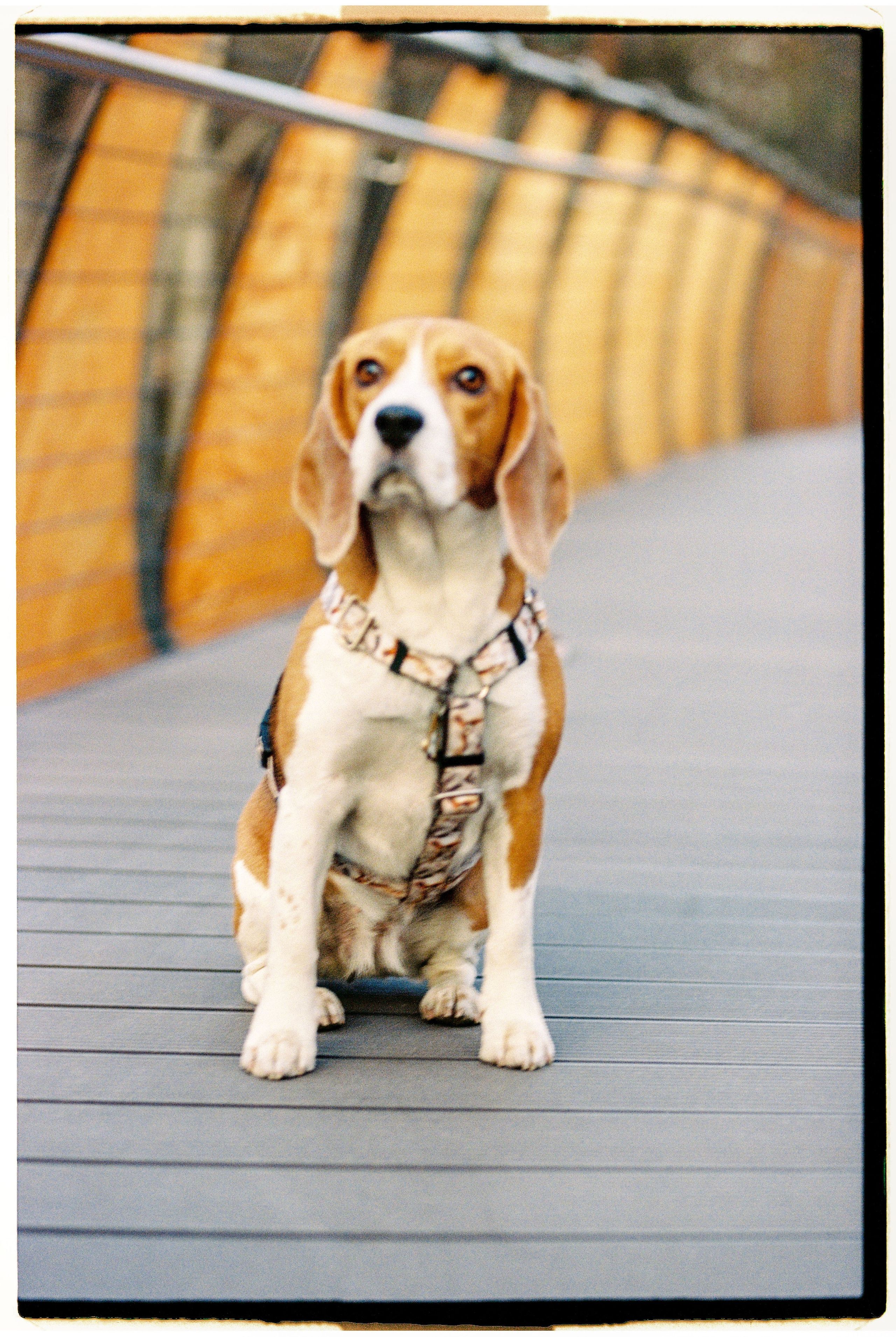 Bek & Alysa. VDNH. Никита Демидов. Nikita Demidov