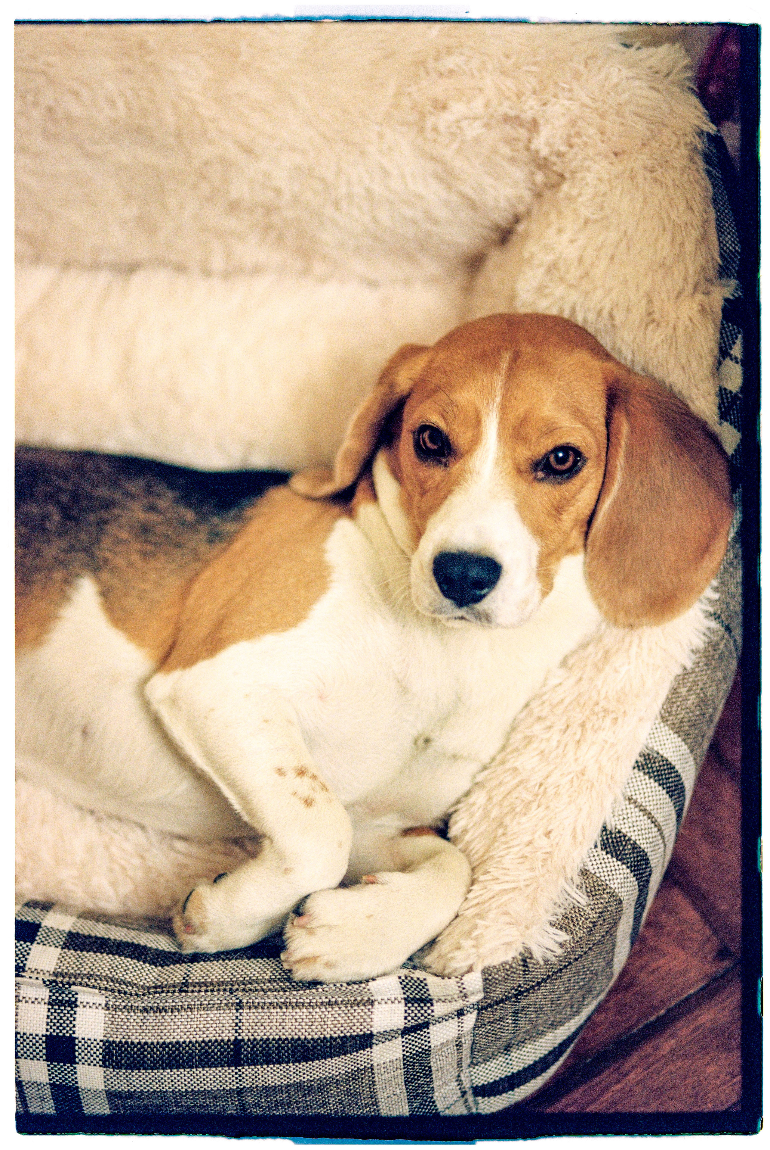 Bek & Alysa. VDNH. Никита Демидов. Nikita Demidov