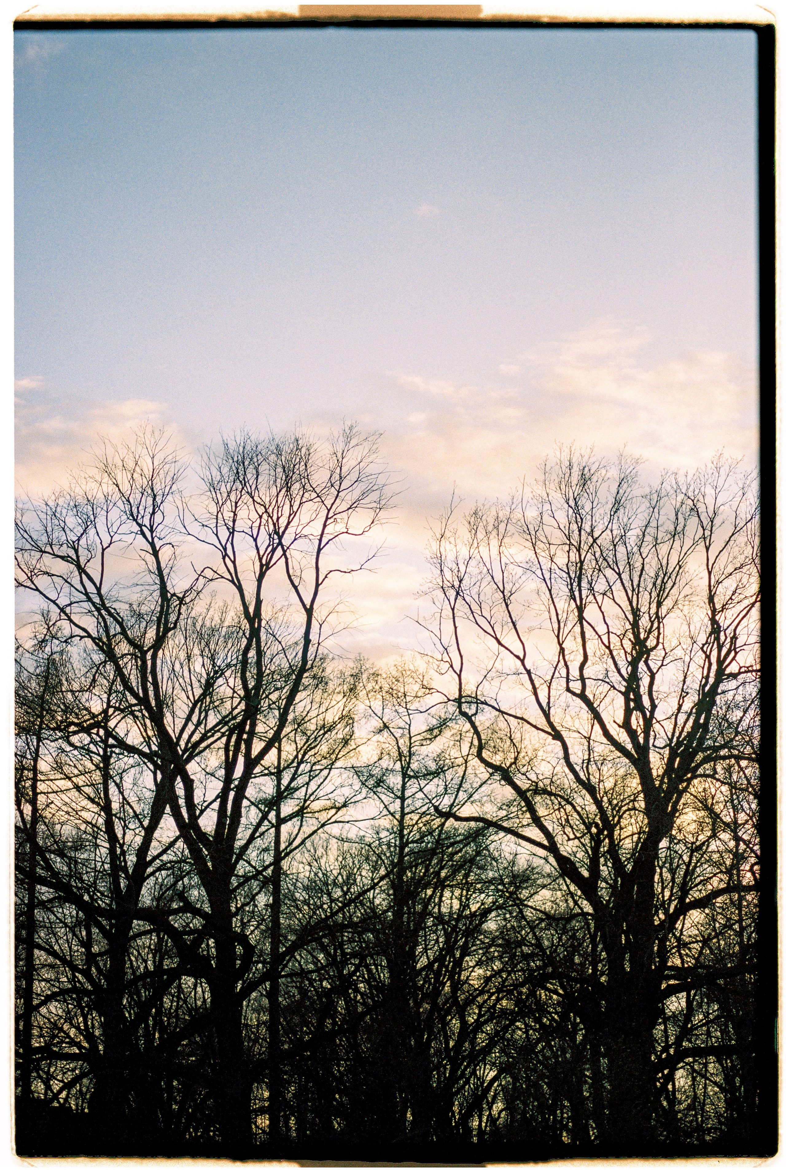 Bek & Alysa. VDNH. Никита Демидов. Nikita Demidov