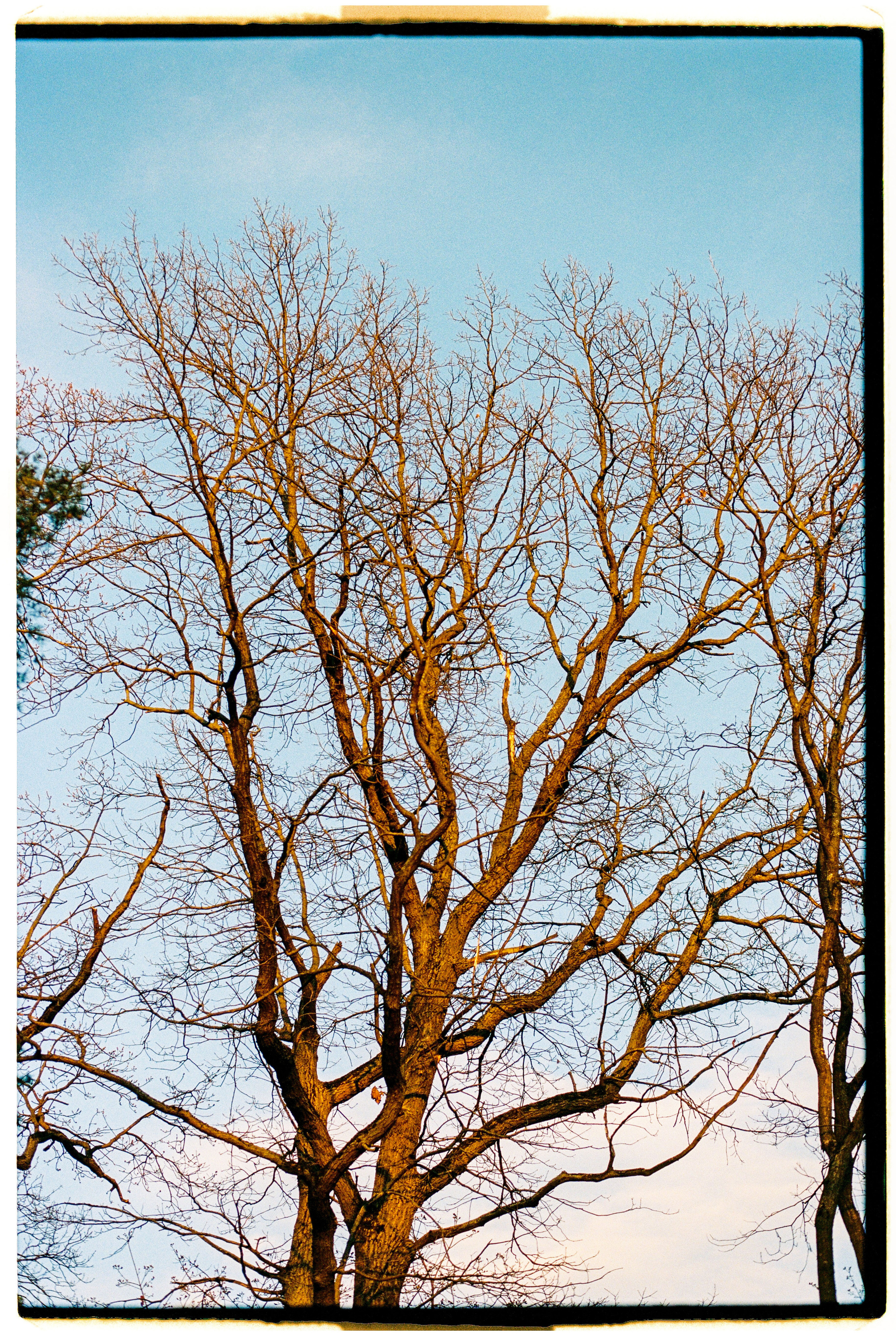 Bek & Alysa. VDNH. Никита Демидов. Nikita Demidov