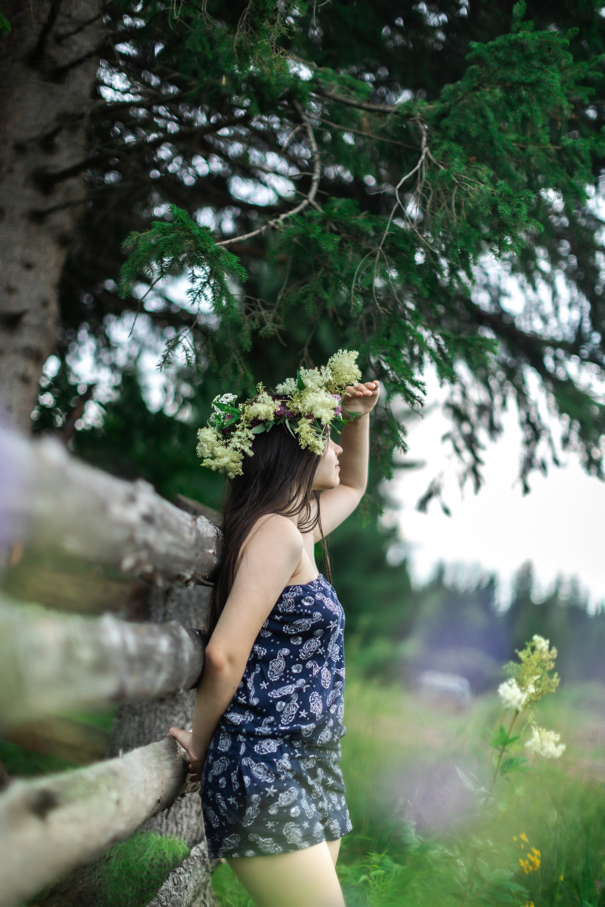 Трава. Art my Pho