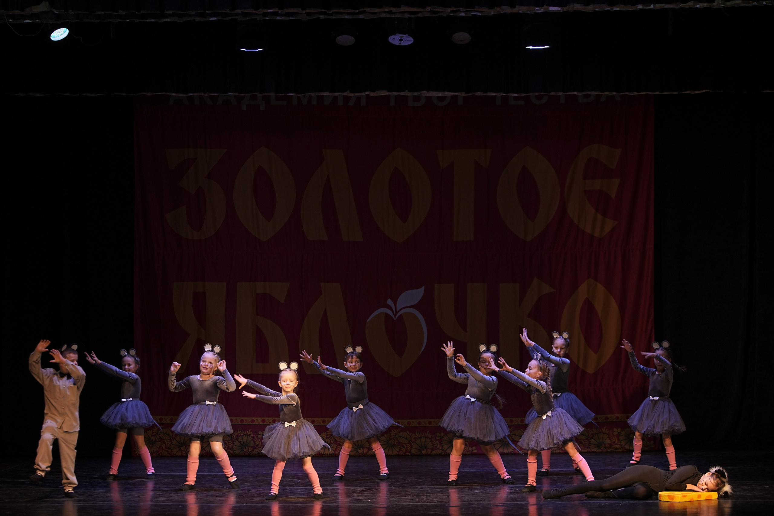 14 декабря, г. Тула. Золотое яблочко