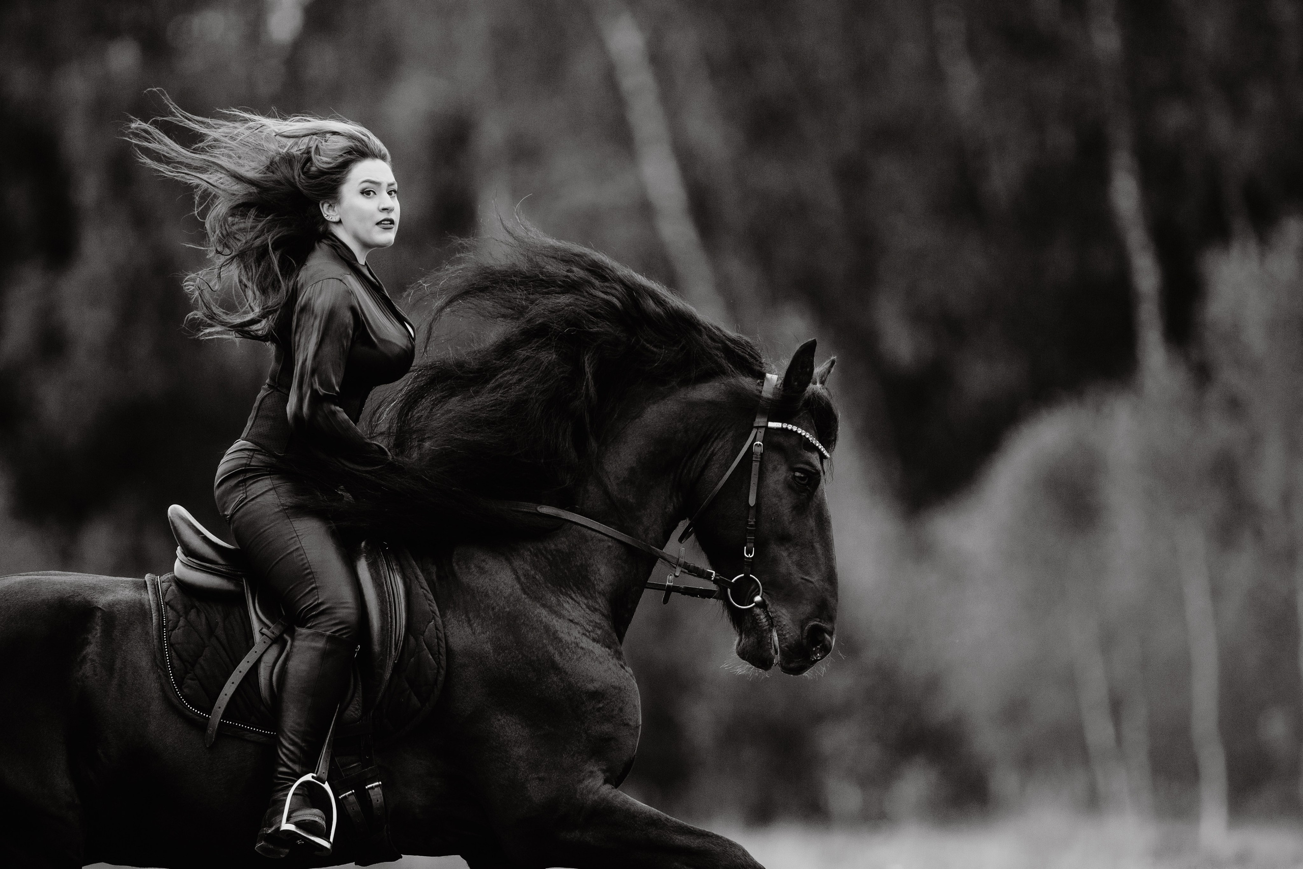 Маша и Брабус. Фотограф-анималист Ксендзова Кристина