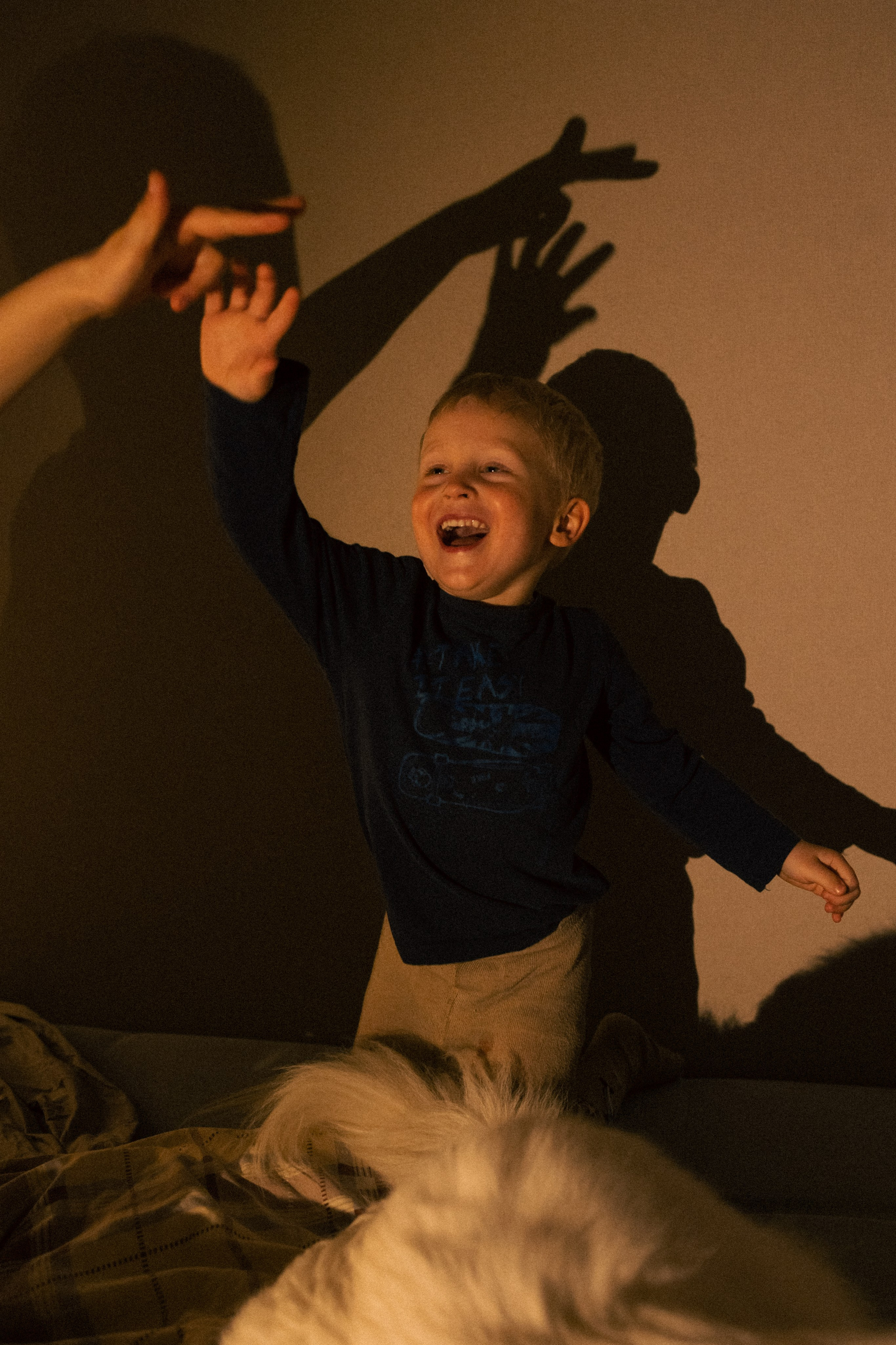 Мальчишки. Фотограф анималист в Москве Майорова Евгения