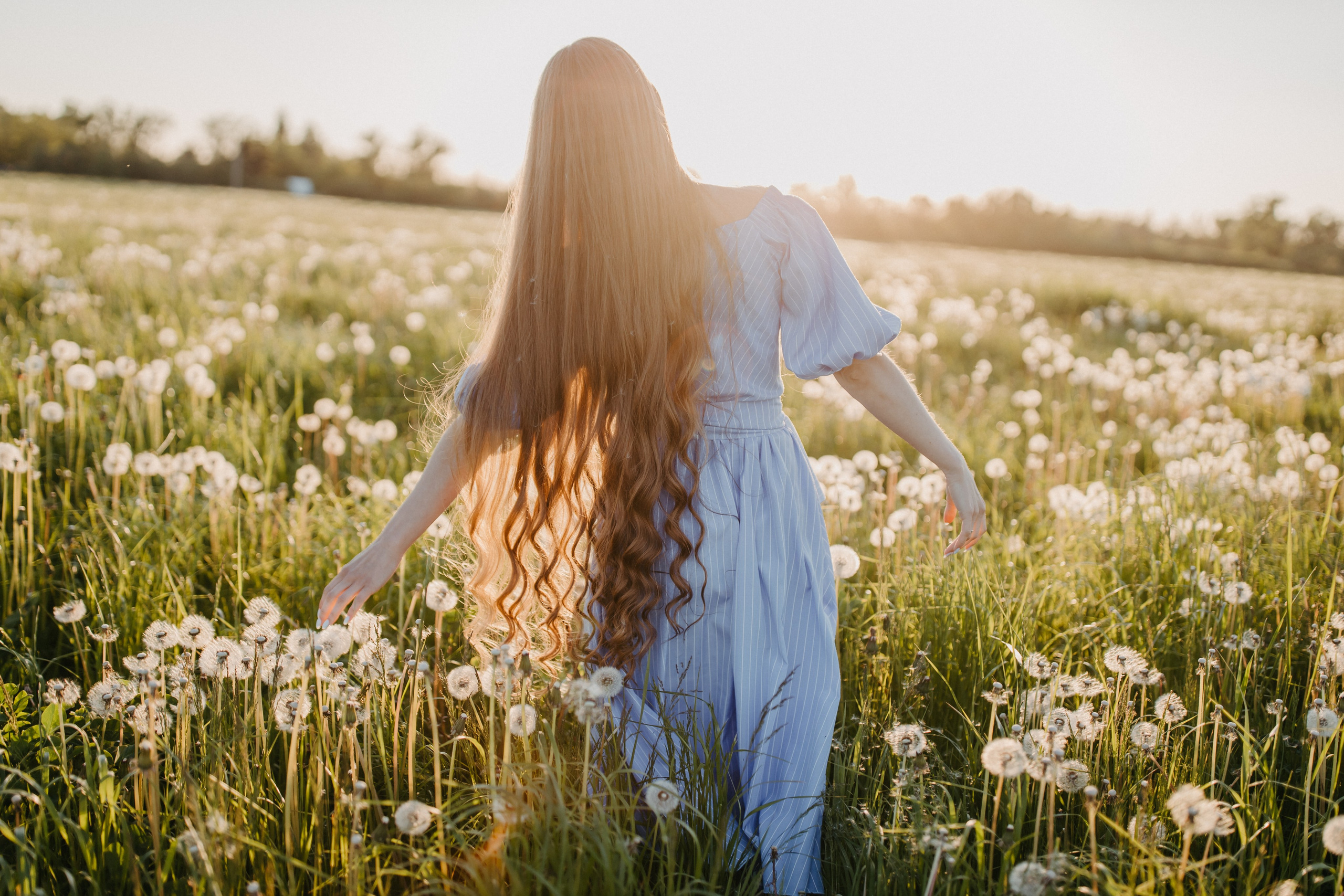 Одуванчиковое. Фотограф в Санкт-Петербурге Знаменская Ирина