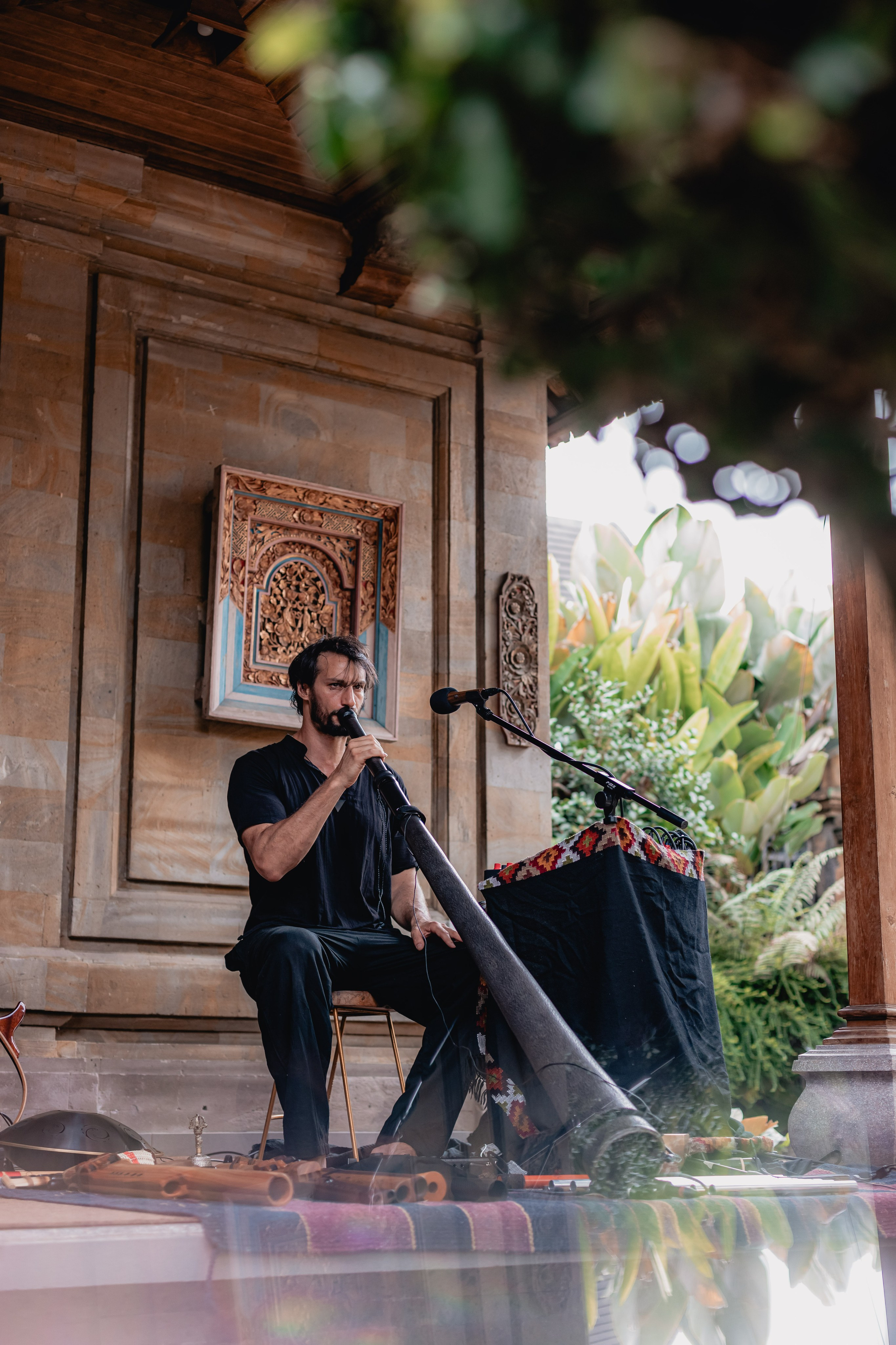 Alegria festival at Zest. Мариам Багдасарян