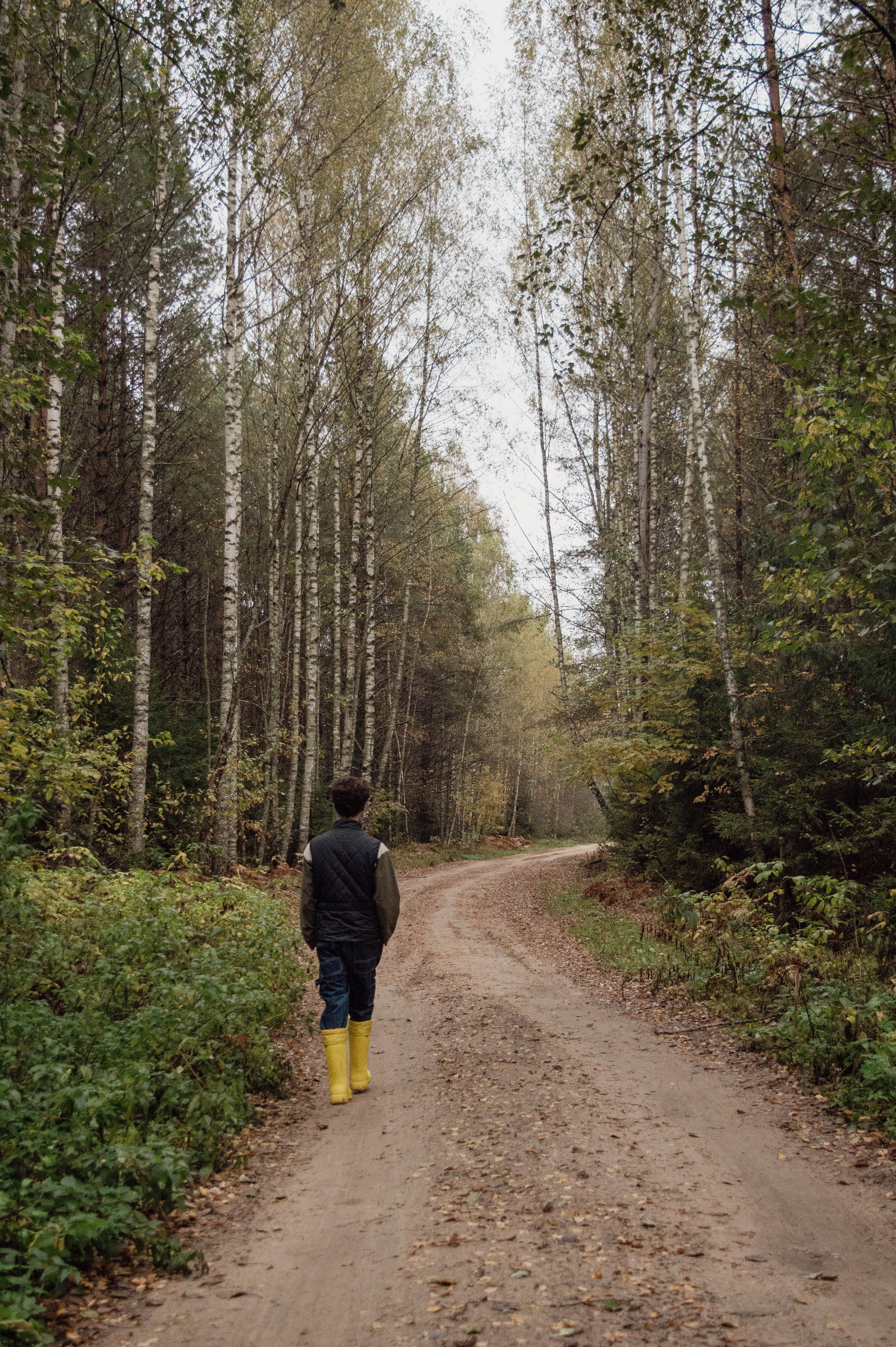 Weekend в лесу. Фотограф Анастасия Лощакова в Москве