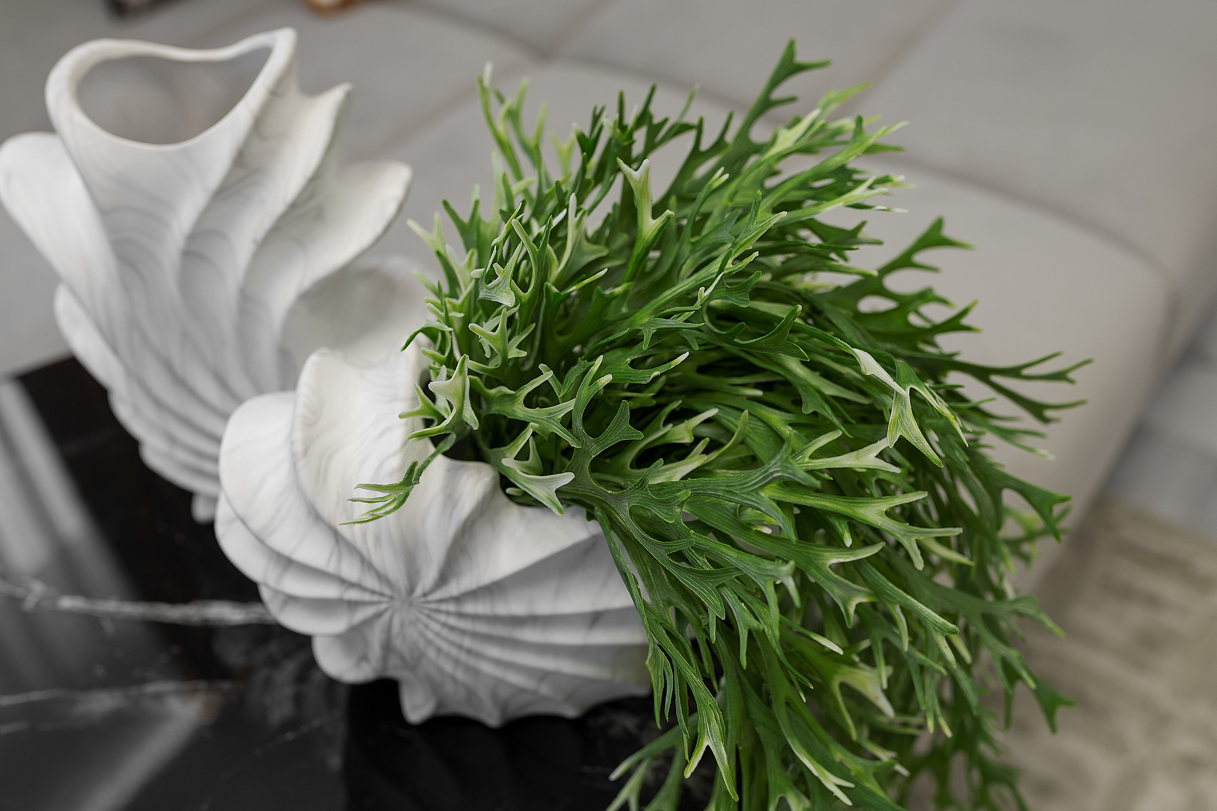 Квартира в Жигулиной роще. Фотограф в Крыму Романенко Даниил