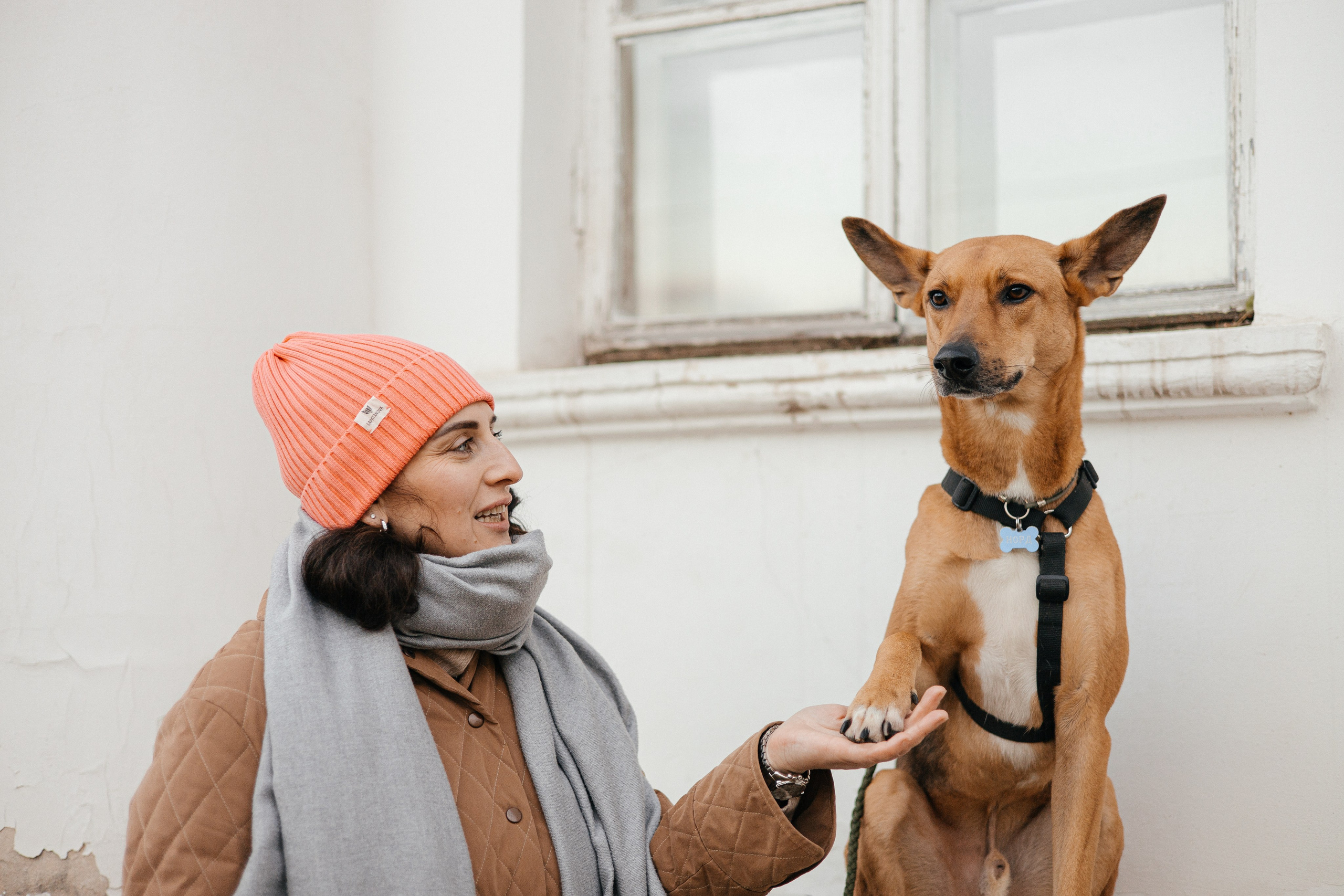 Нелли, Лёша, Рэй и Норд. Фотограф Анна Луценко Москва