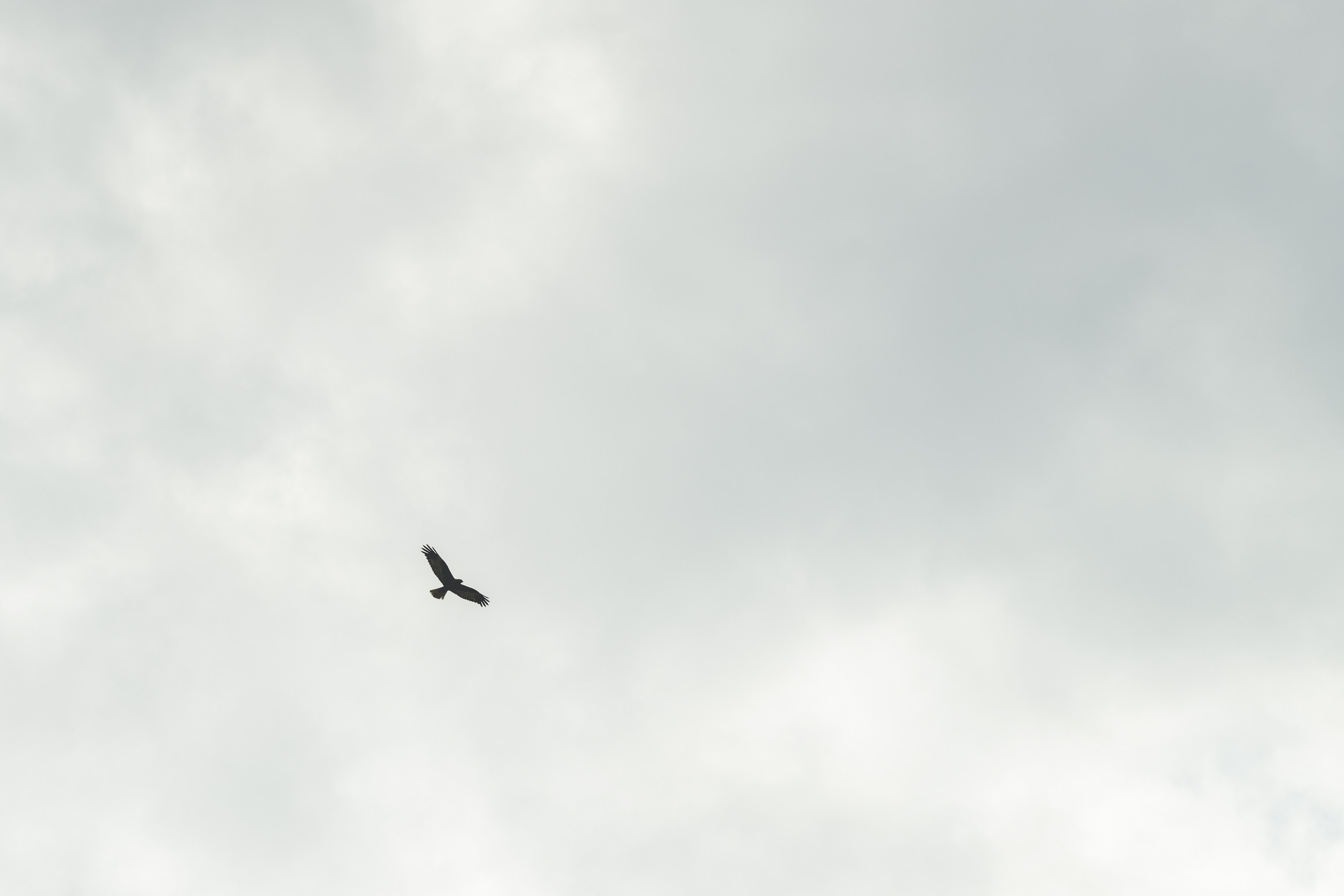 Водный поход 1-й кс по реке Случь. Репортажный фотограф Владимир Беляй