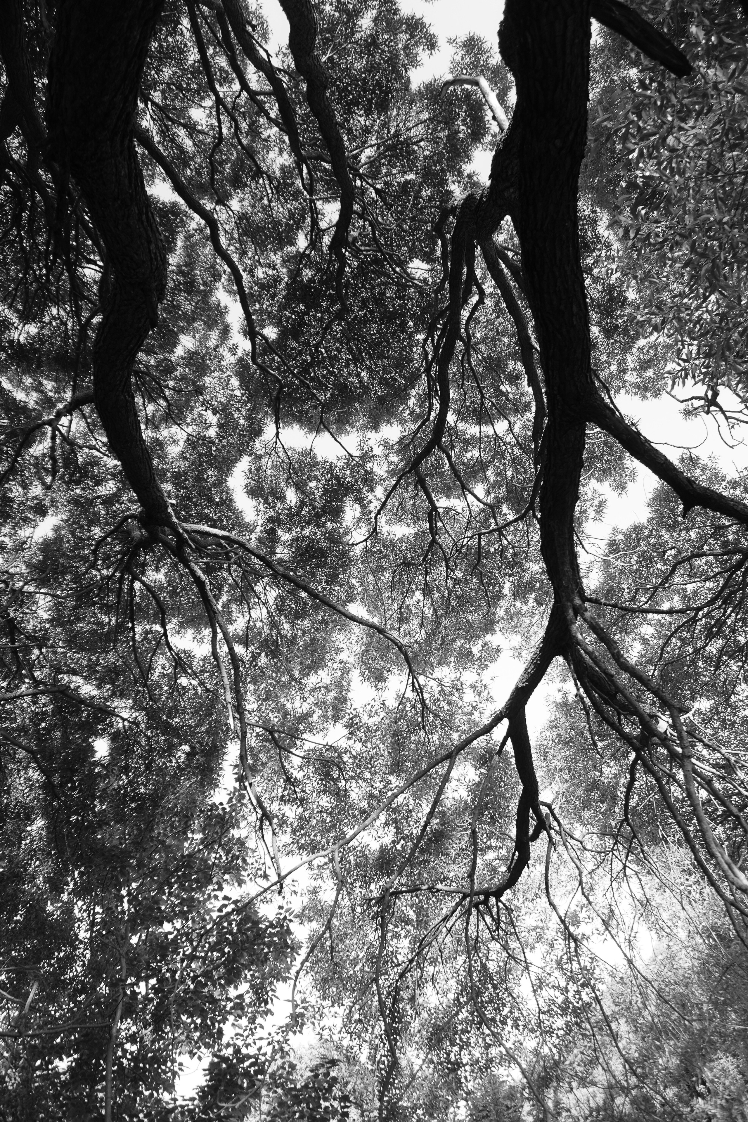 Ольга. Фотограф Алла Быкова