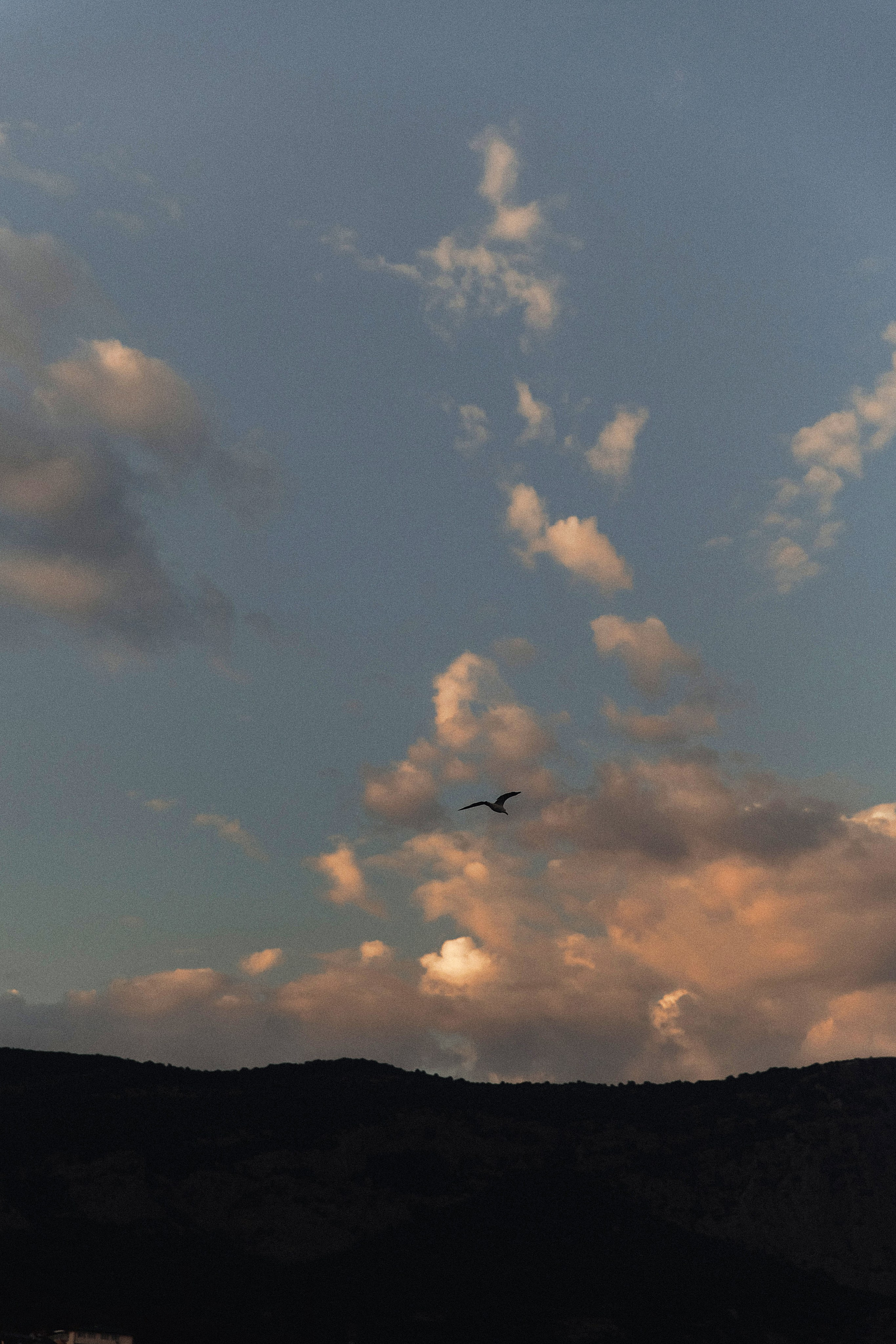 Maria & Dima. Свадебный фотограф в Севастополе и Крыму| Tanya Sher