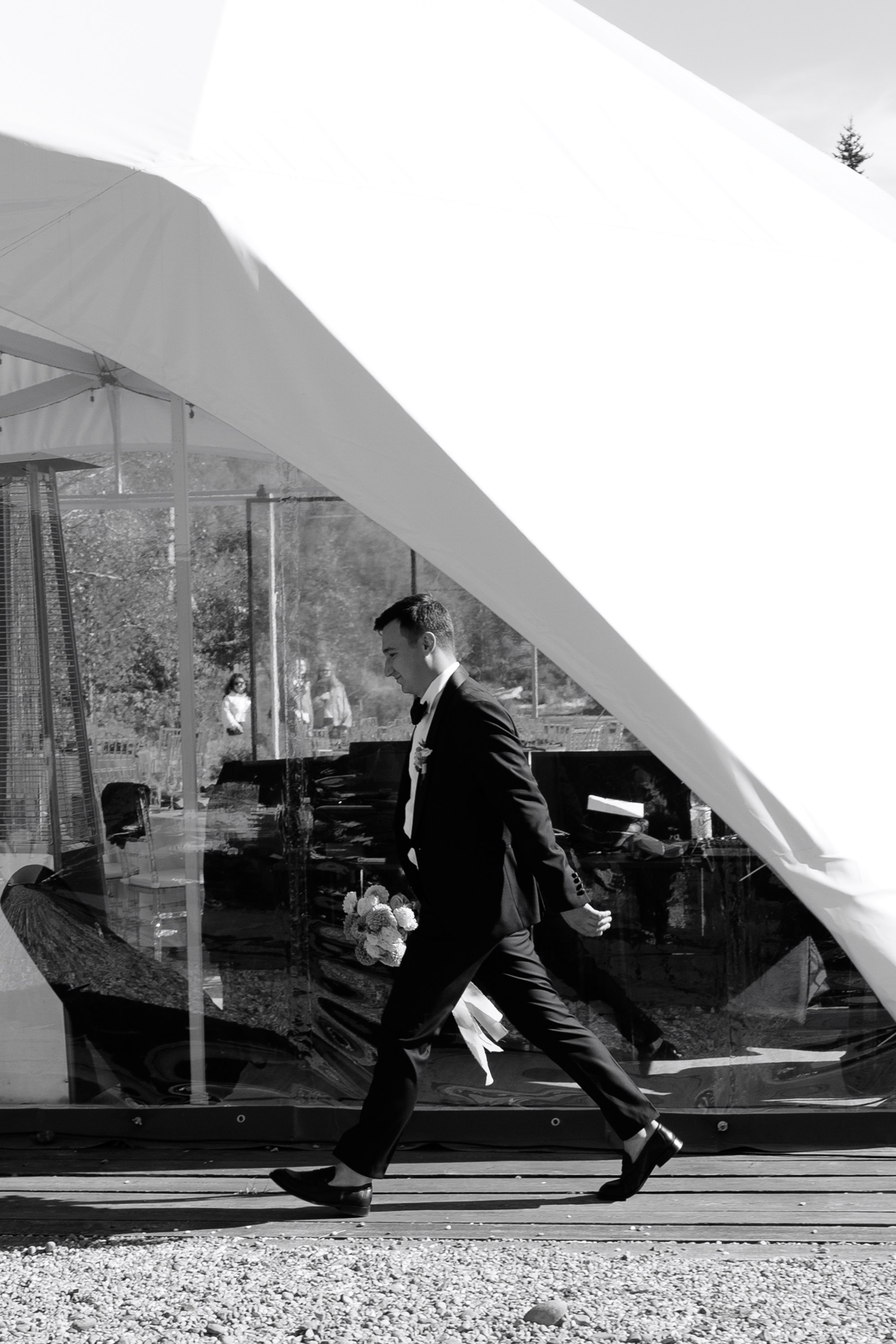 Дмитрий и Алёна. Свадебный фотограф