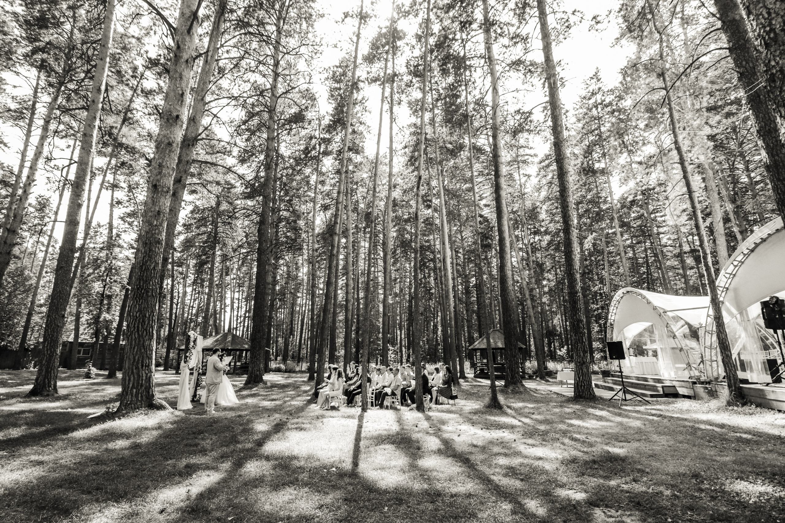 Свадьбы. Контент фотограф Дмитрий Борисов