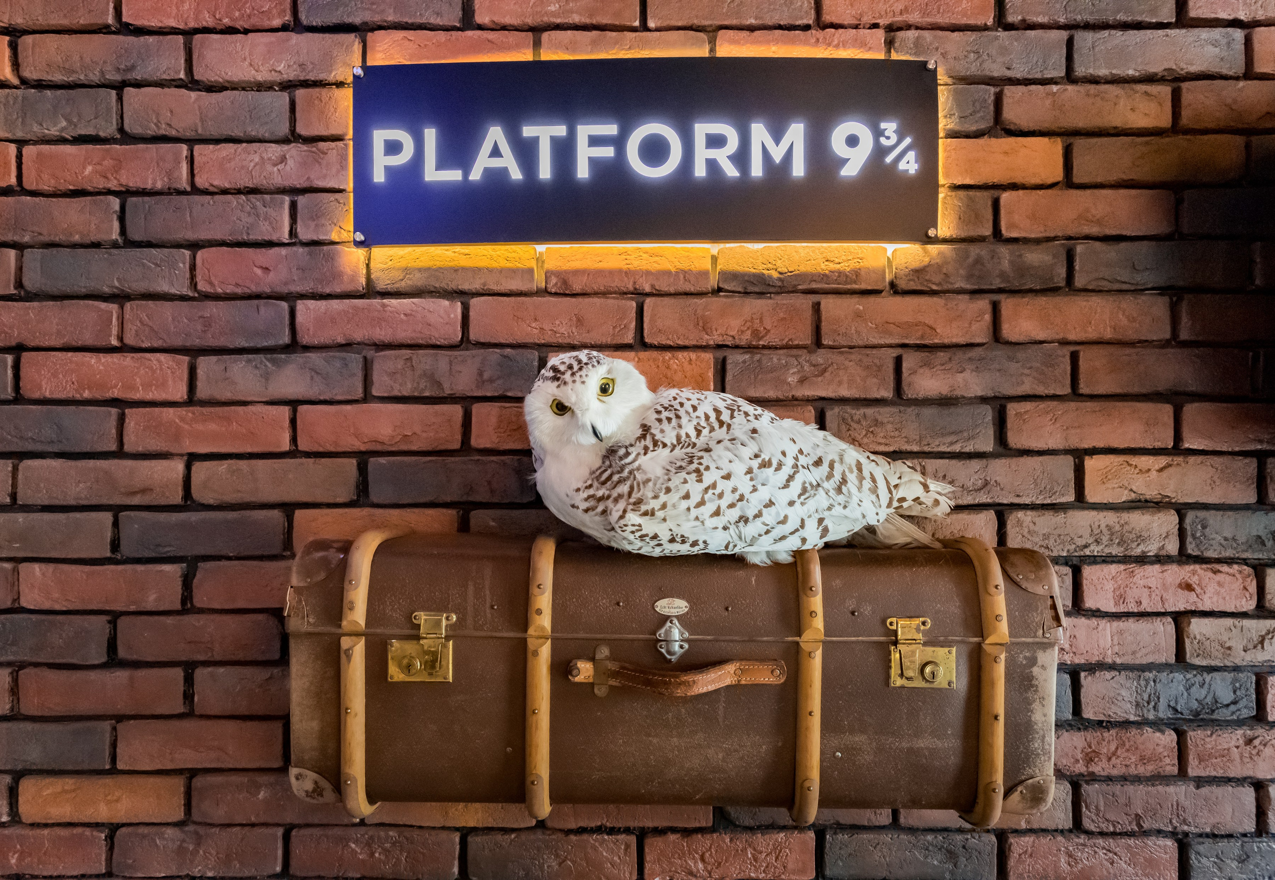 Фотосъемка для кофейни Три Метлы. Интерьеры, Контент, Портреты | Фотограф в Москве Дани Терно